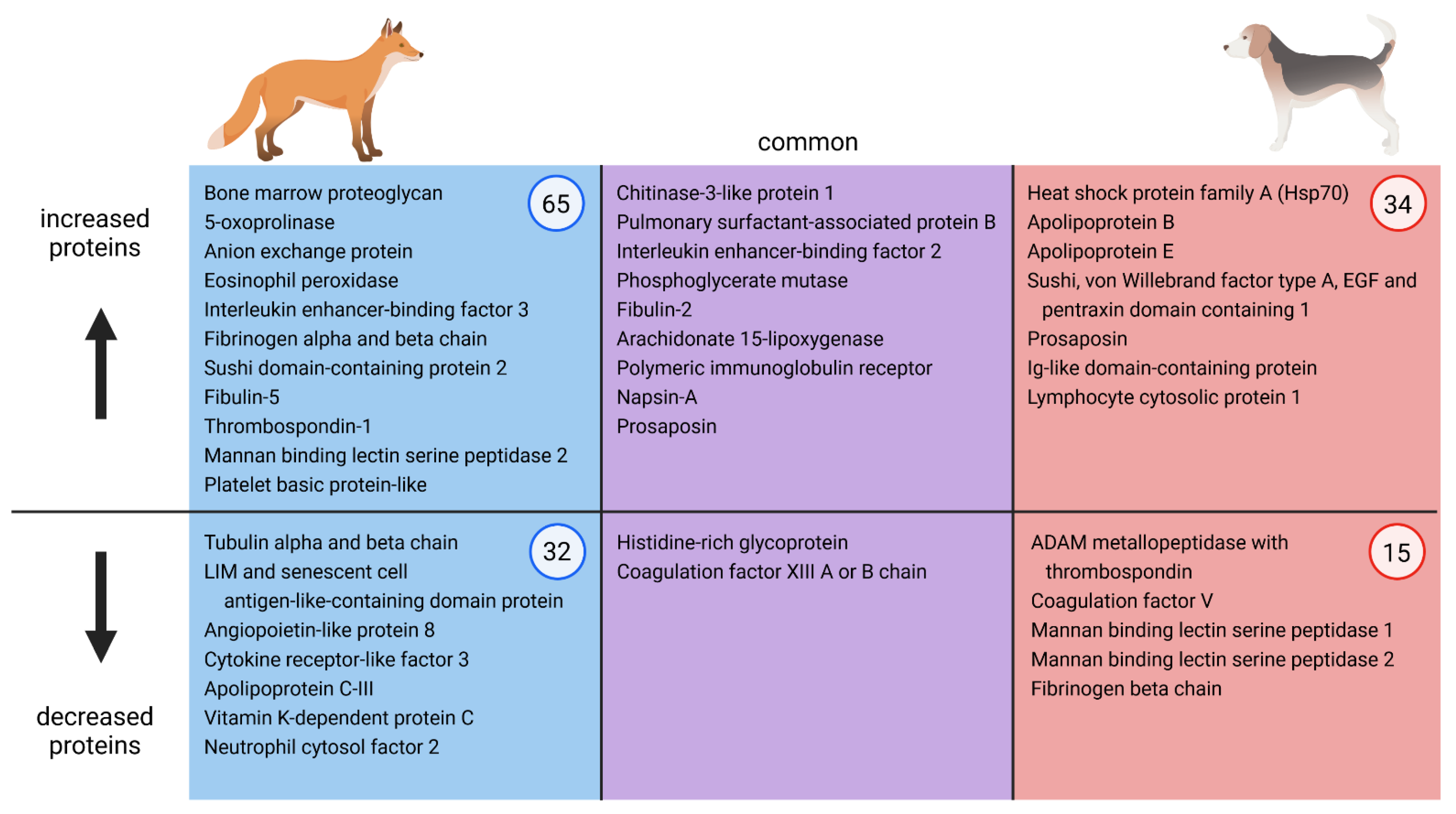 Pathogens 10 01513 g002 Pathogens 10 01513 g002