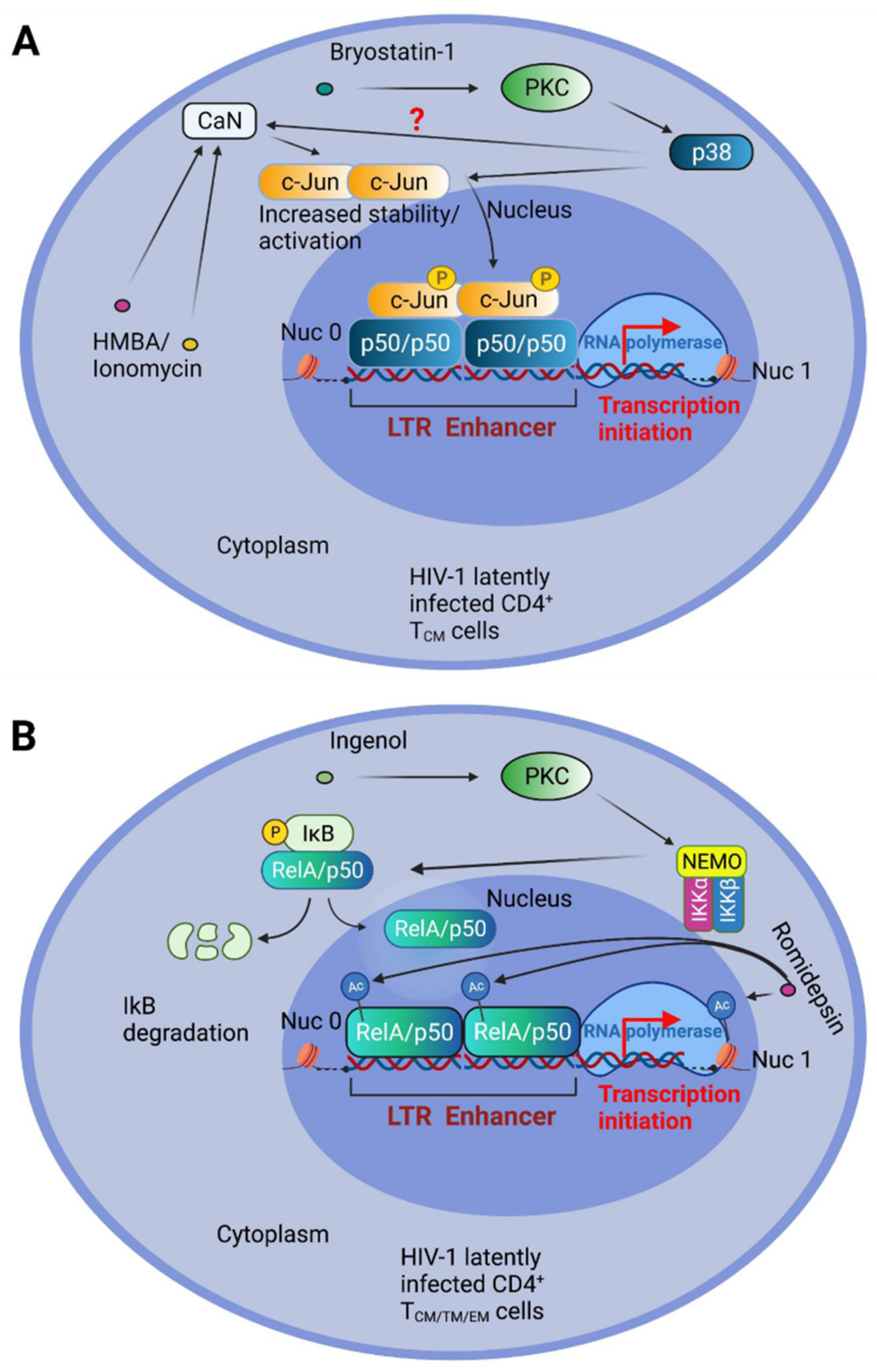 Pathogens 10 01517 g002 Pathogens 10 01517 g002