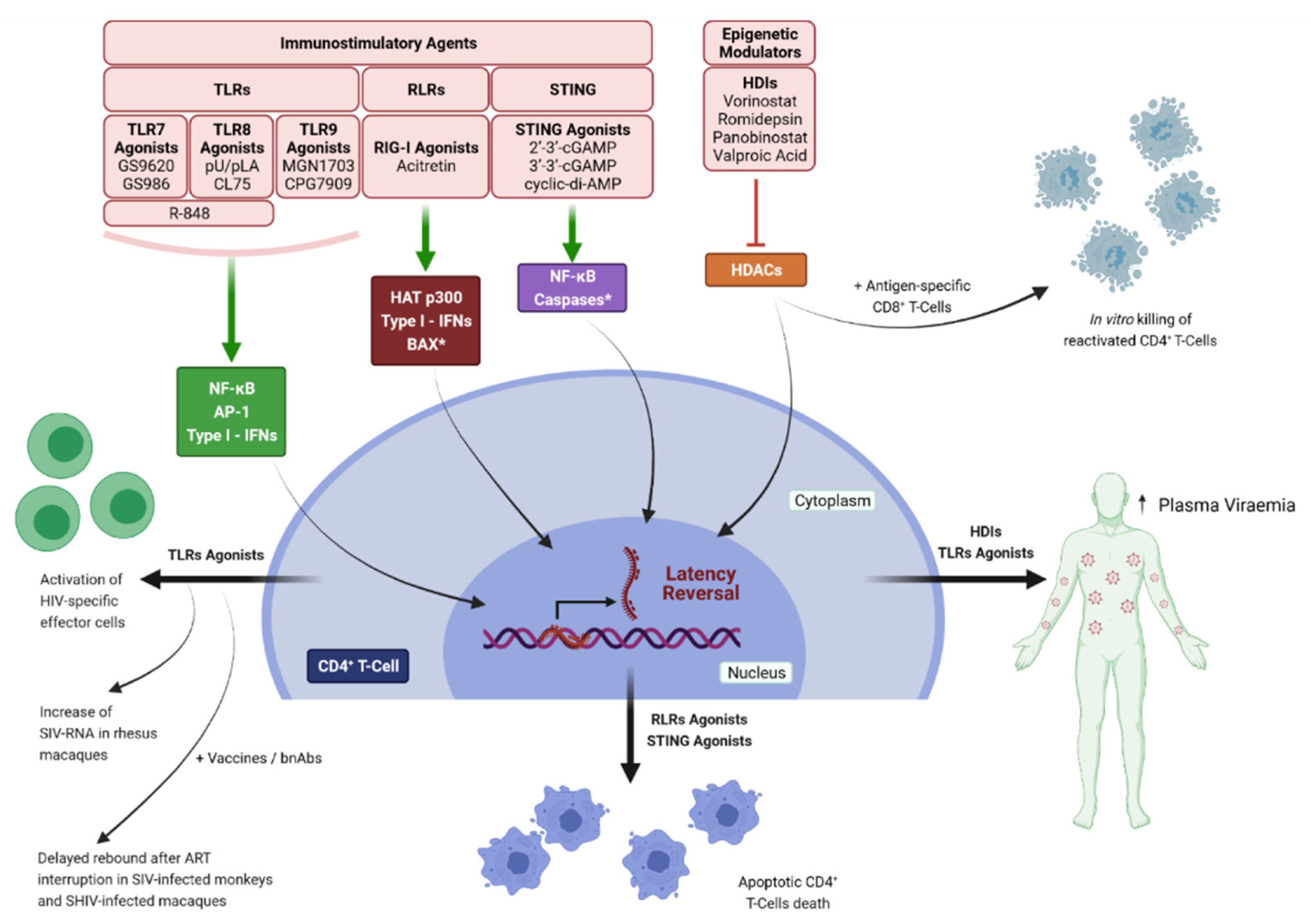 Pathogens 10 01517 g003 Pathogens 10 01517 g003