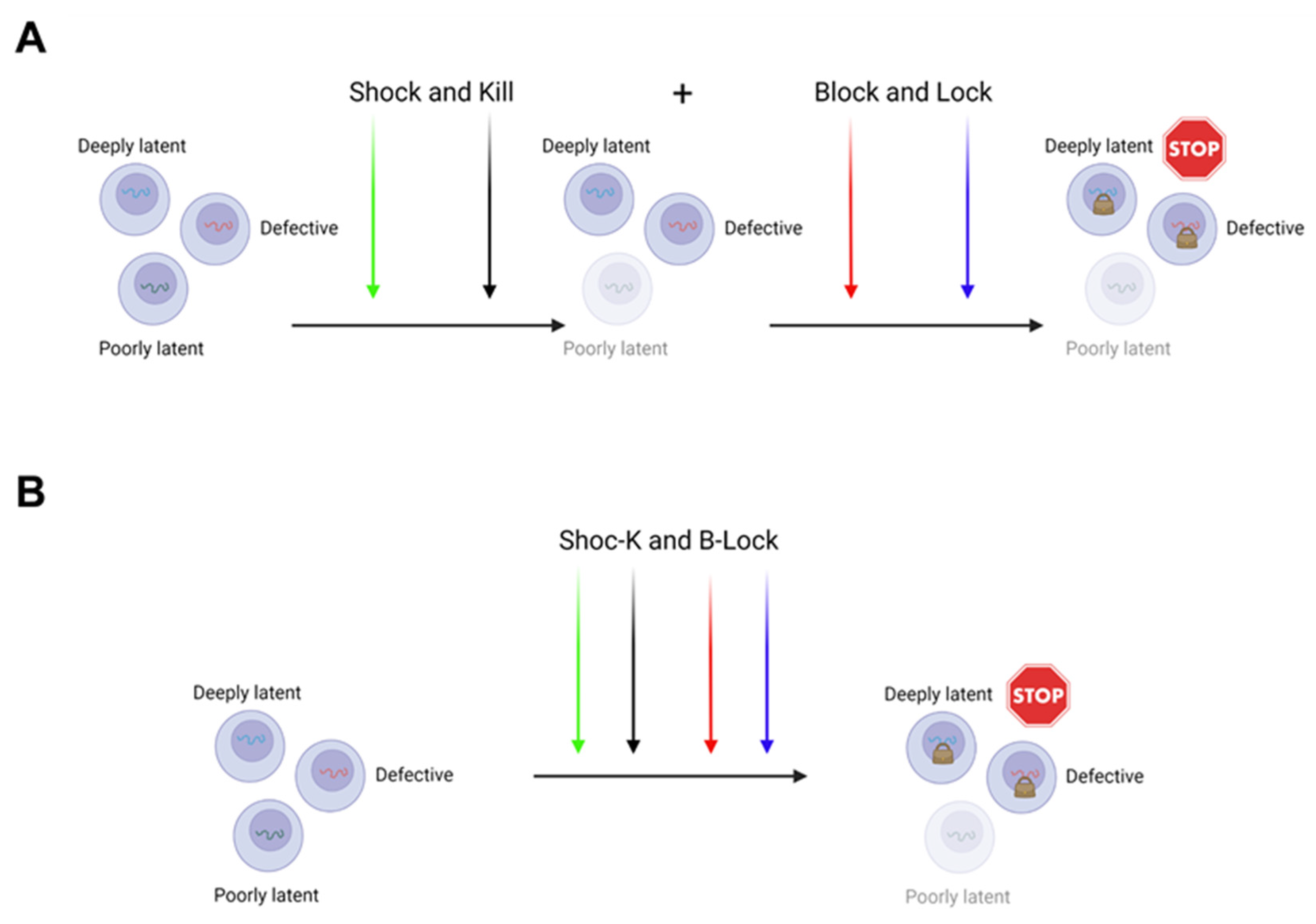 Pathogens 10 01517 g004 Pathogens 10 01517 g004