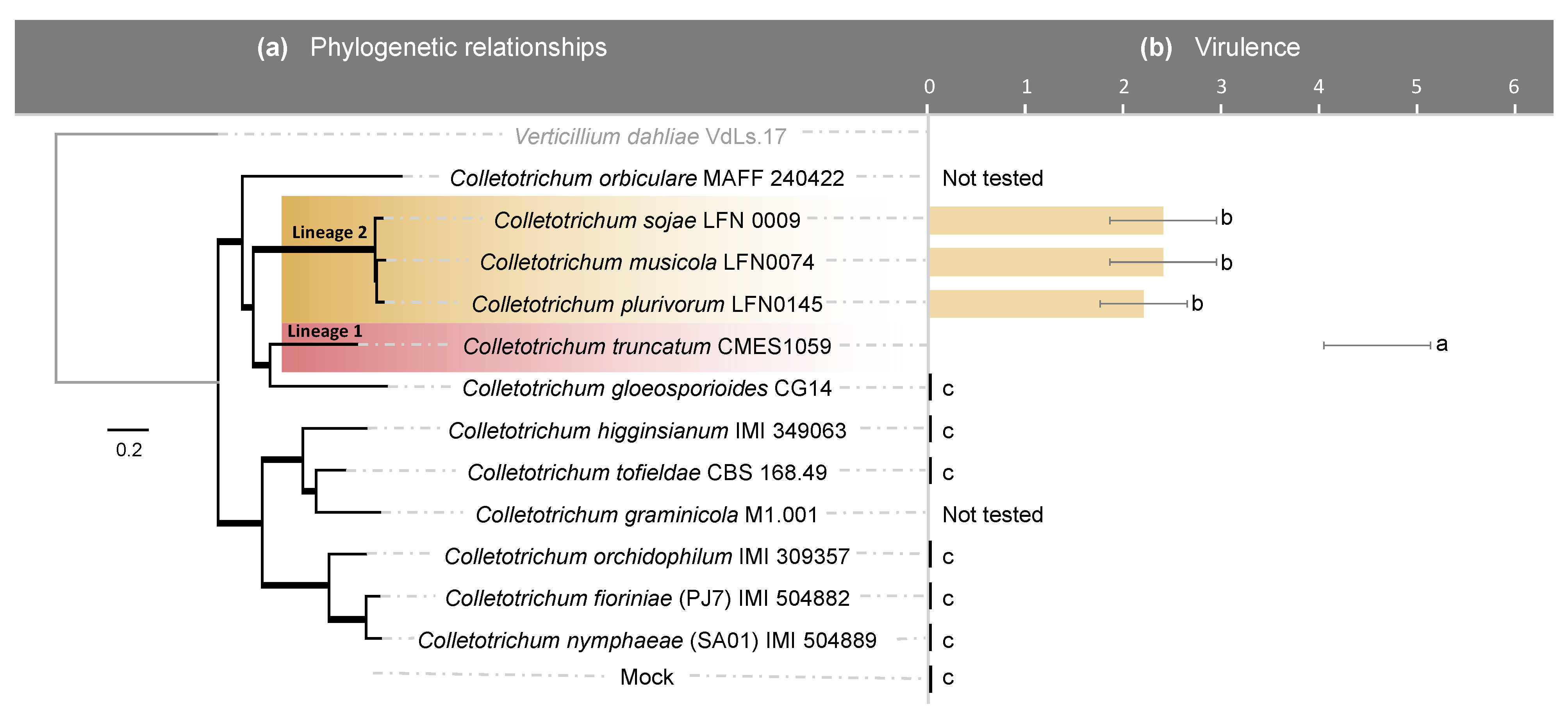 Pathogens 10 01520 g001 Pathogens 10 01520 g001
