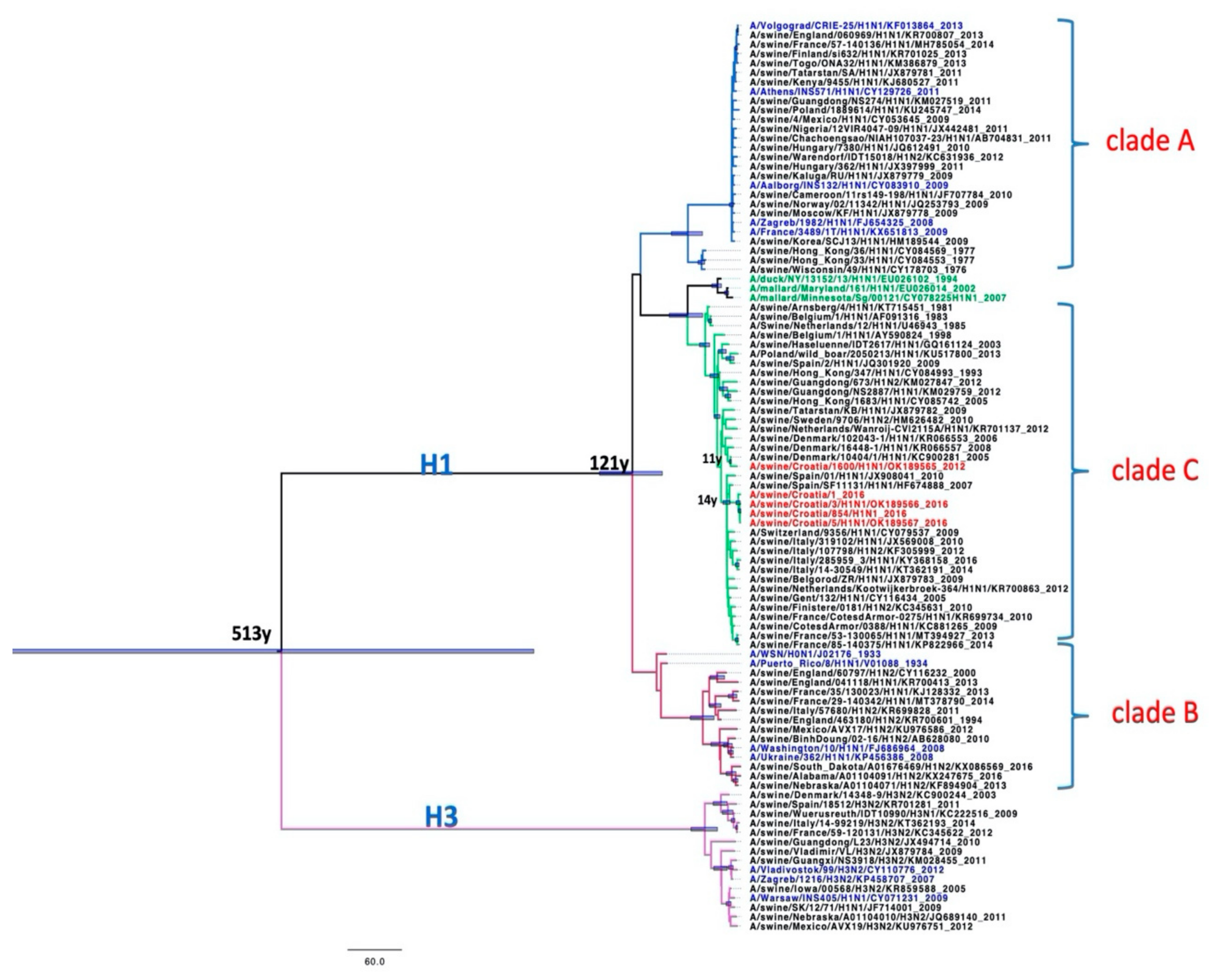 Pathogens 10 01527 g003 Pathogens 10 01527 g003