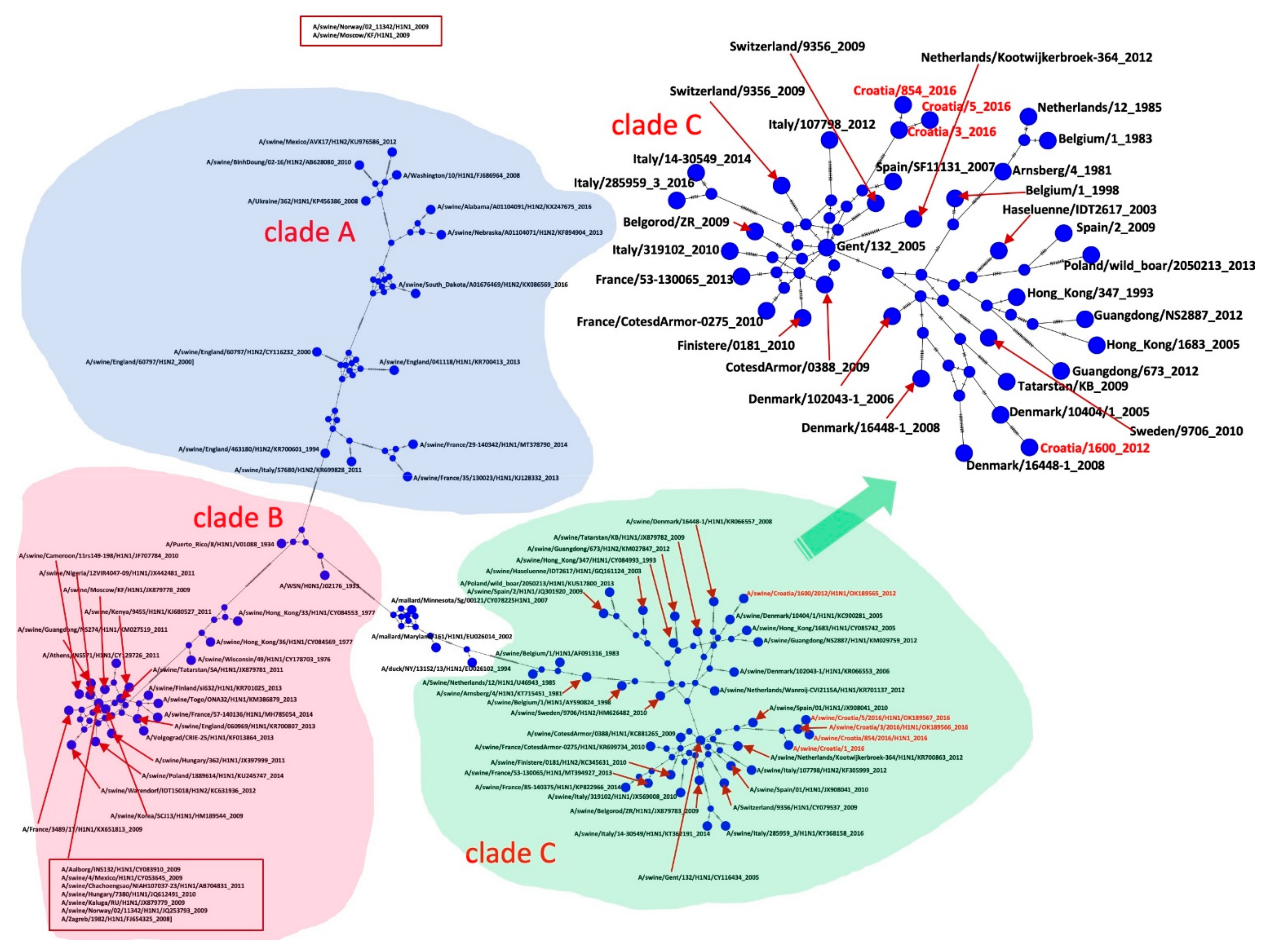Pathogens 10 01527 g004 Pathogens 10 01527 g004