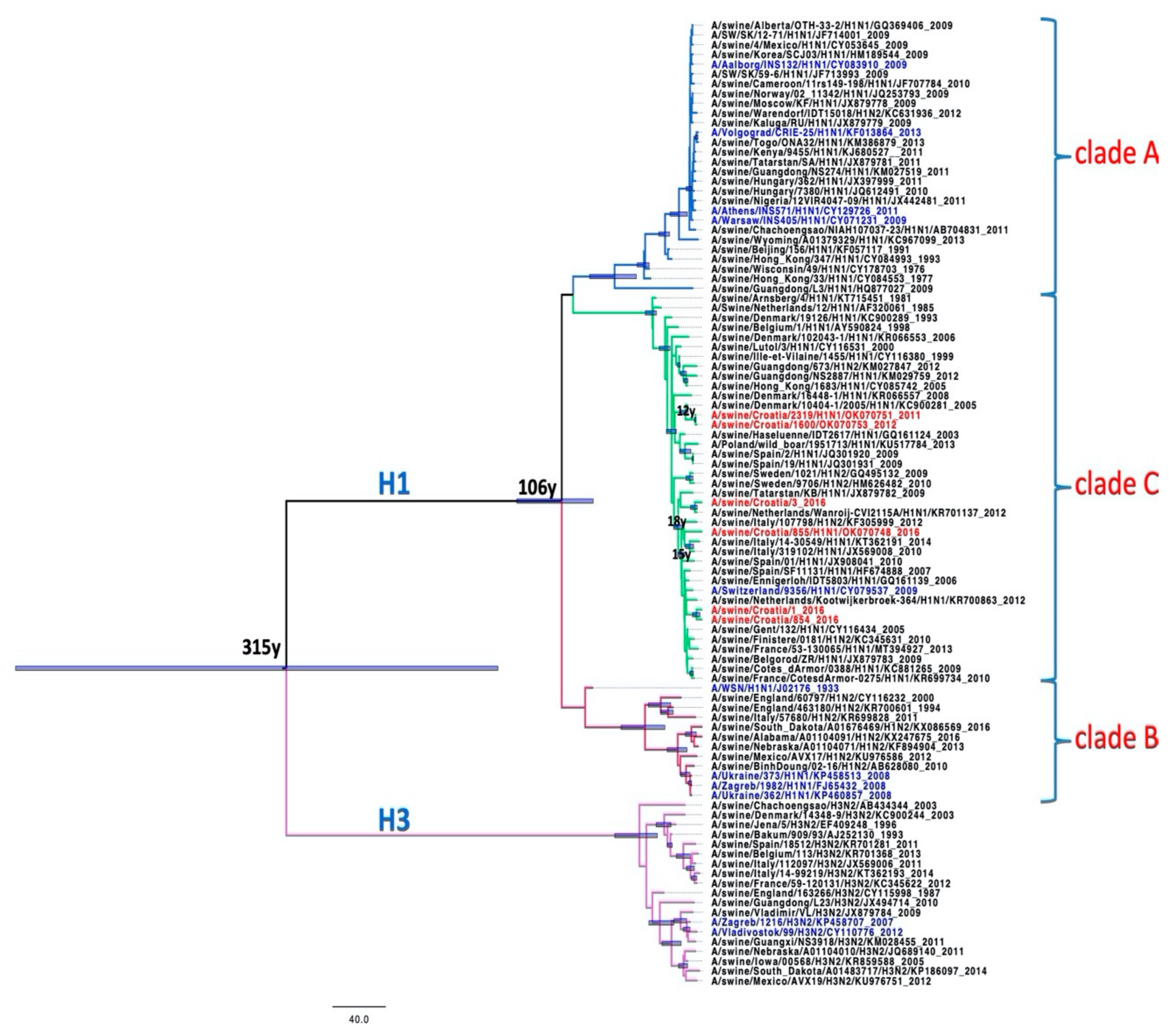 Pathogens 10 01527 g005 Pathogens 10 01527 g005