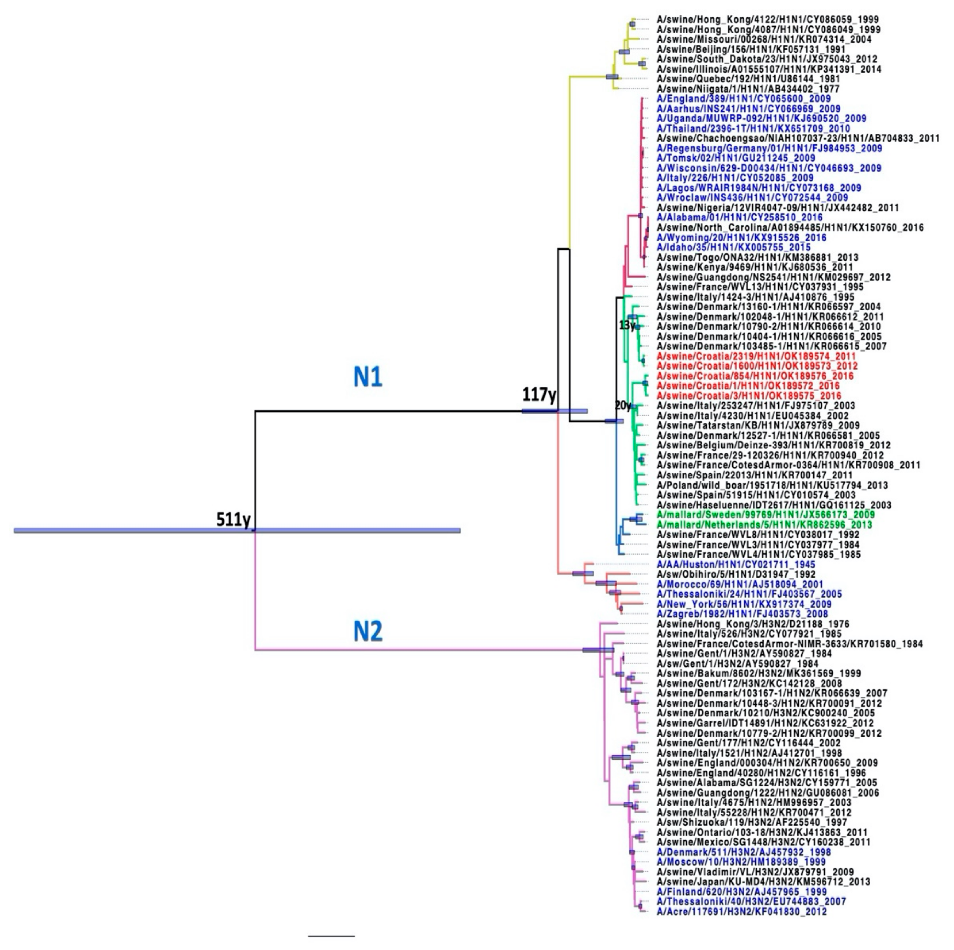 Pathogens 10 01527 g007 Pathogens 10 01527 g007