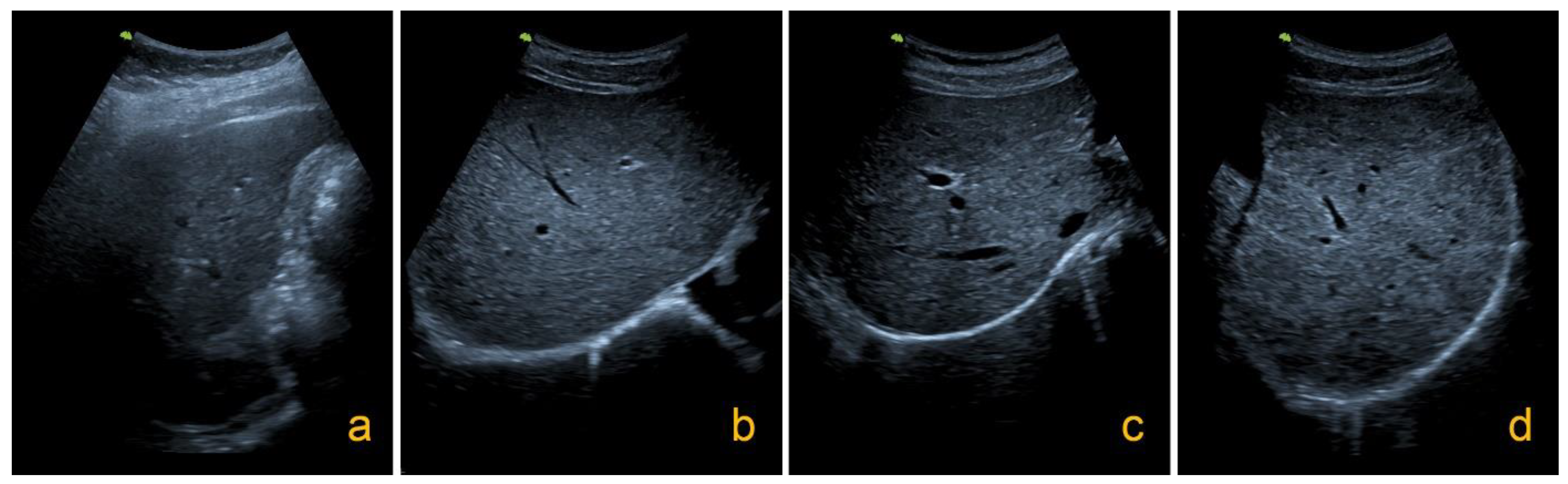 Pathogens 10 01532 g003