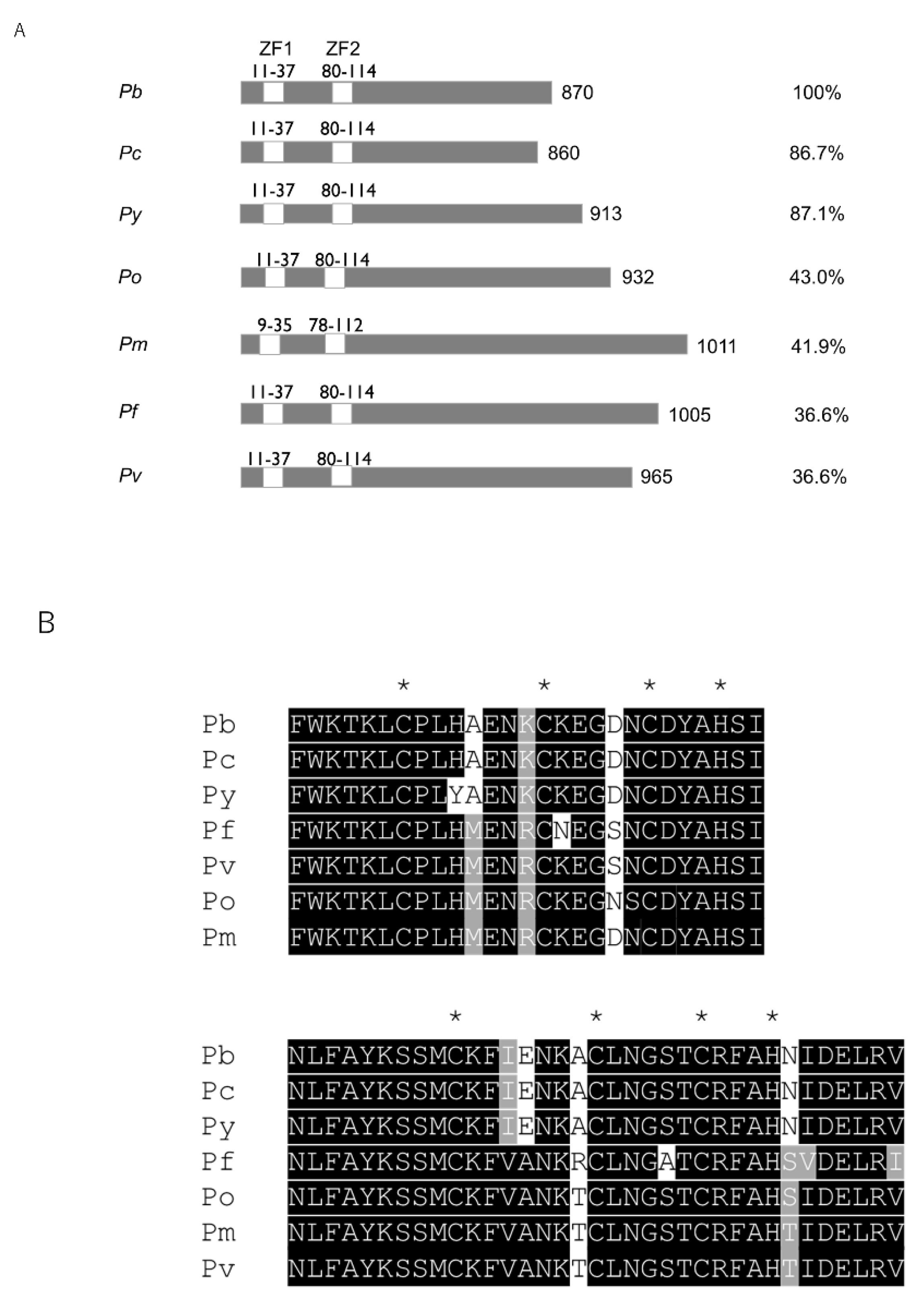 Pathogens 10 01536 g001 550