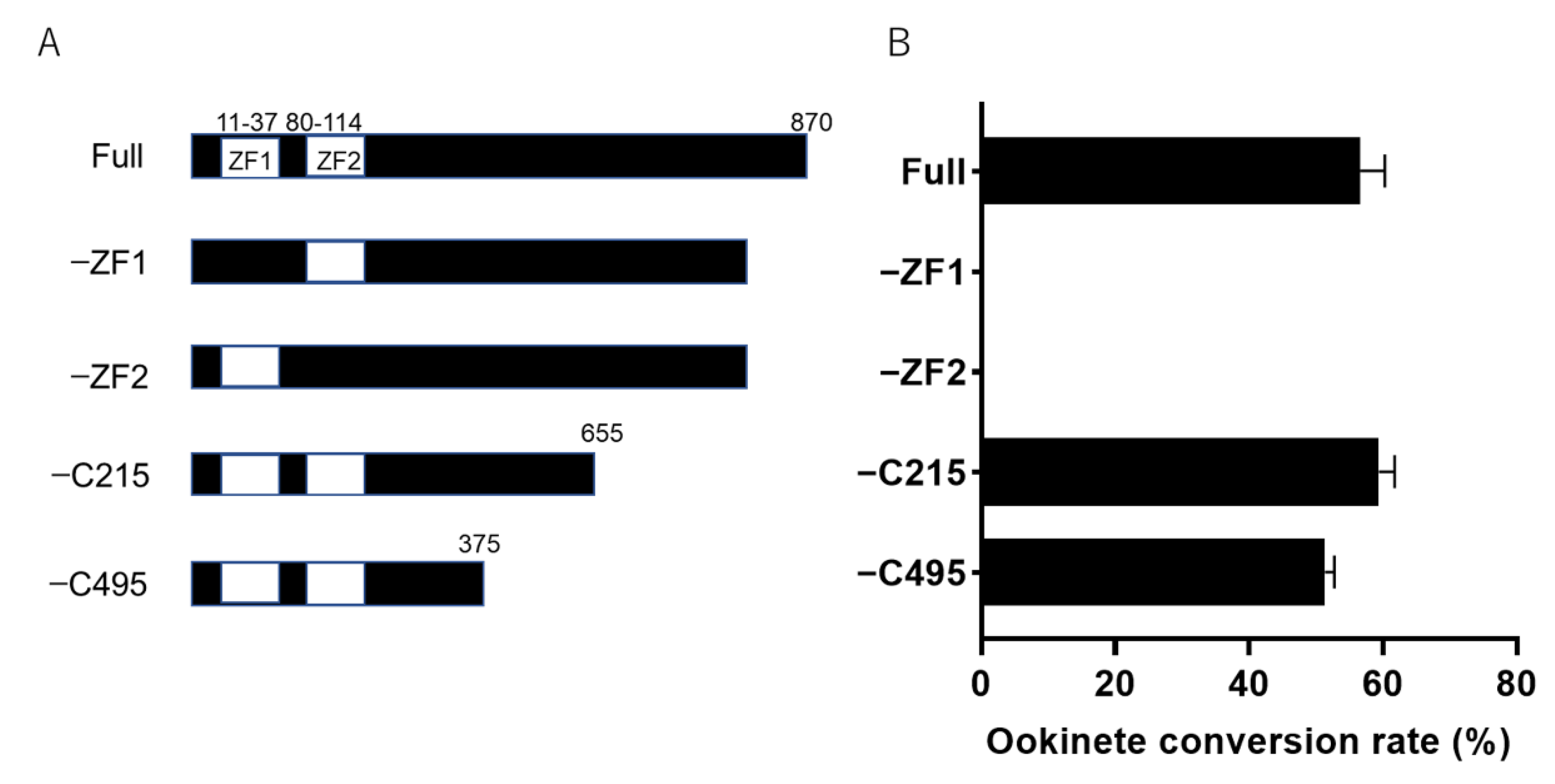Pathogens 10 01536 g005 550