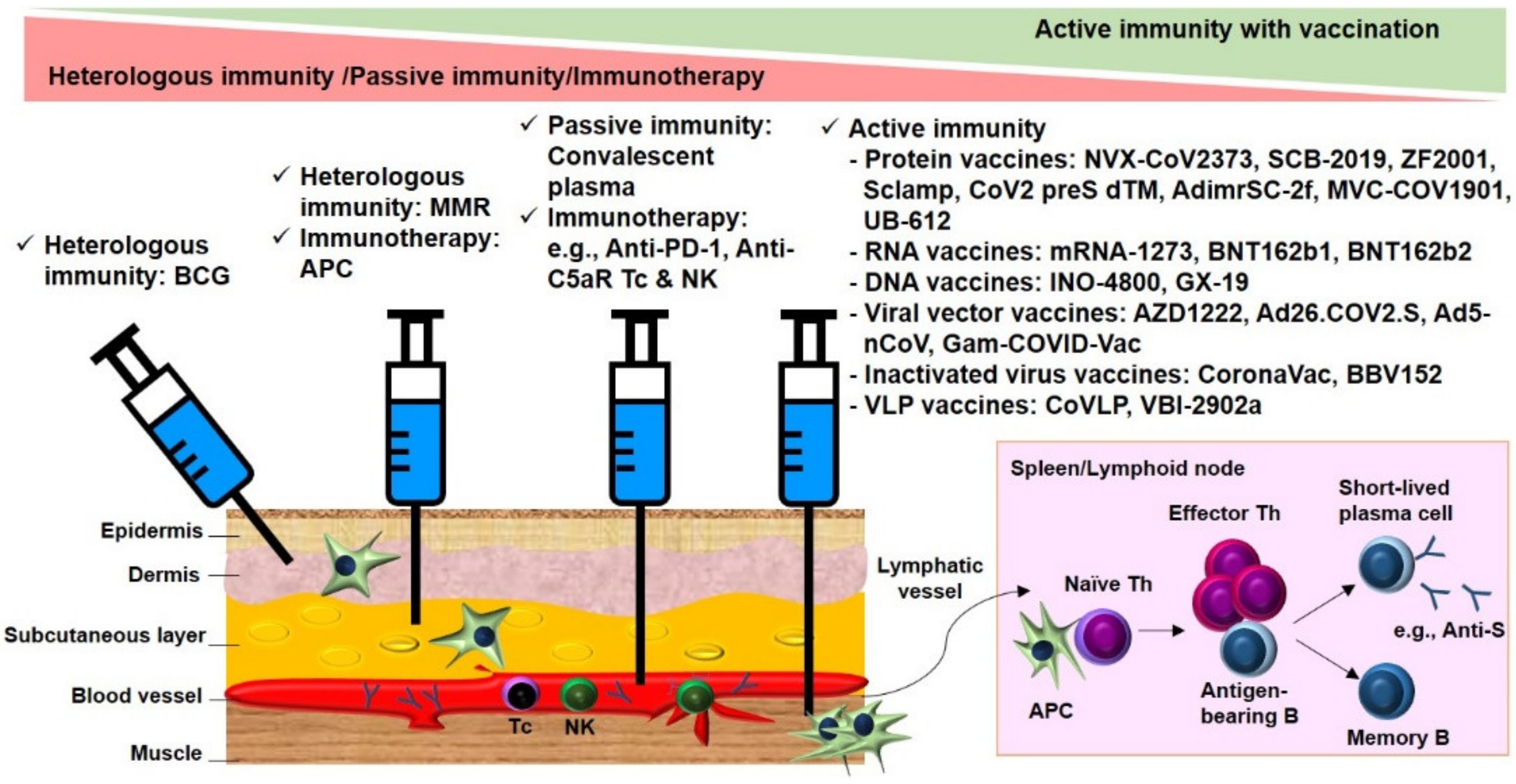 Pathogens 10 01537 g004 Pathogens 10 01537 g004