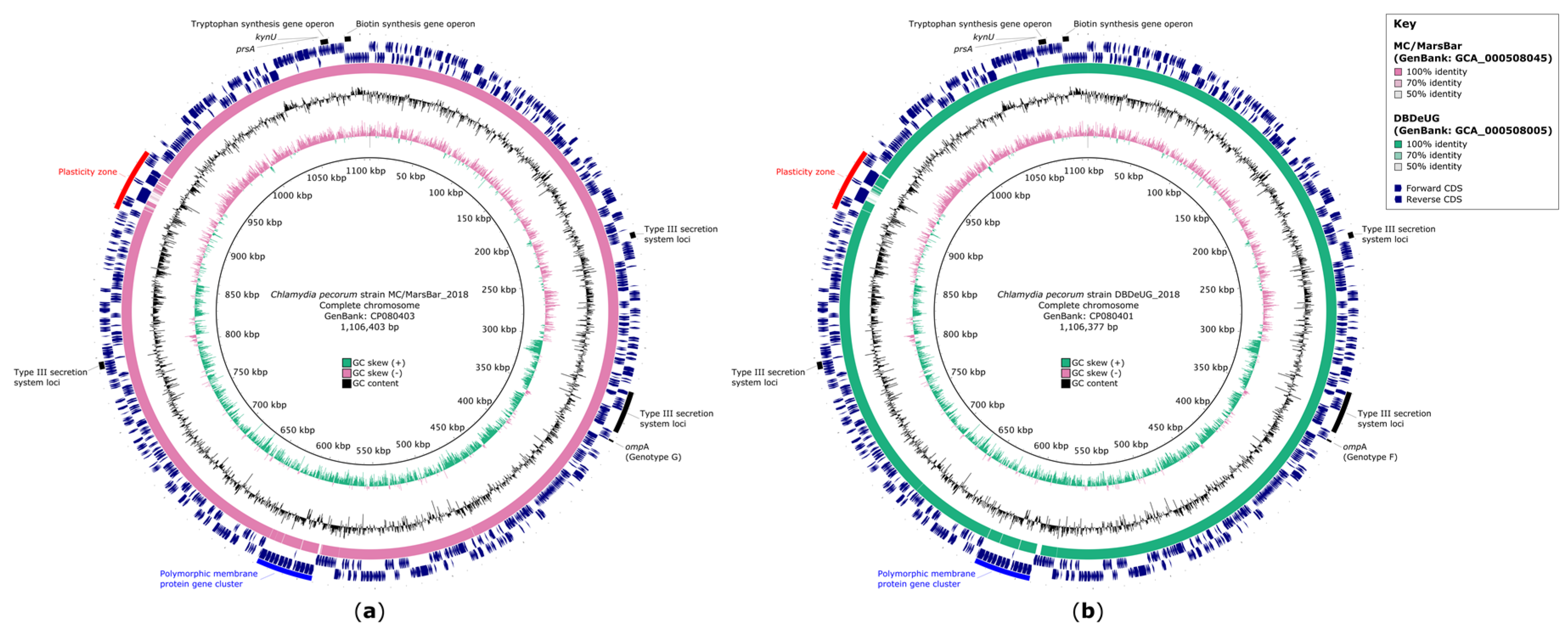 Pathogens 10 01543 g001