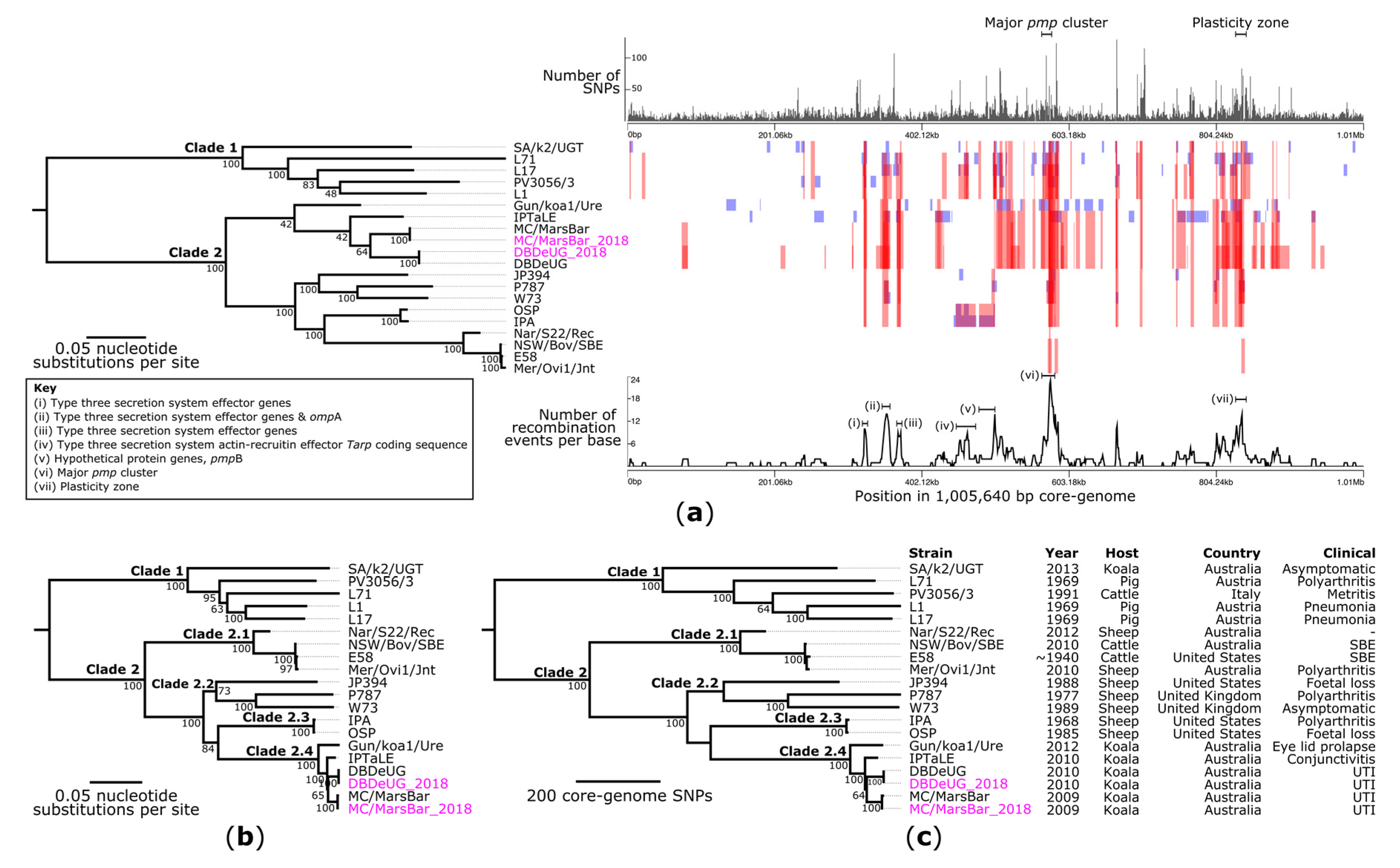 Pathogens 10 01543 g002