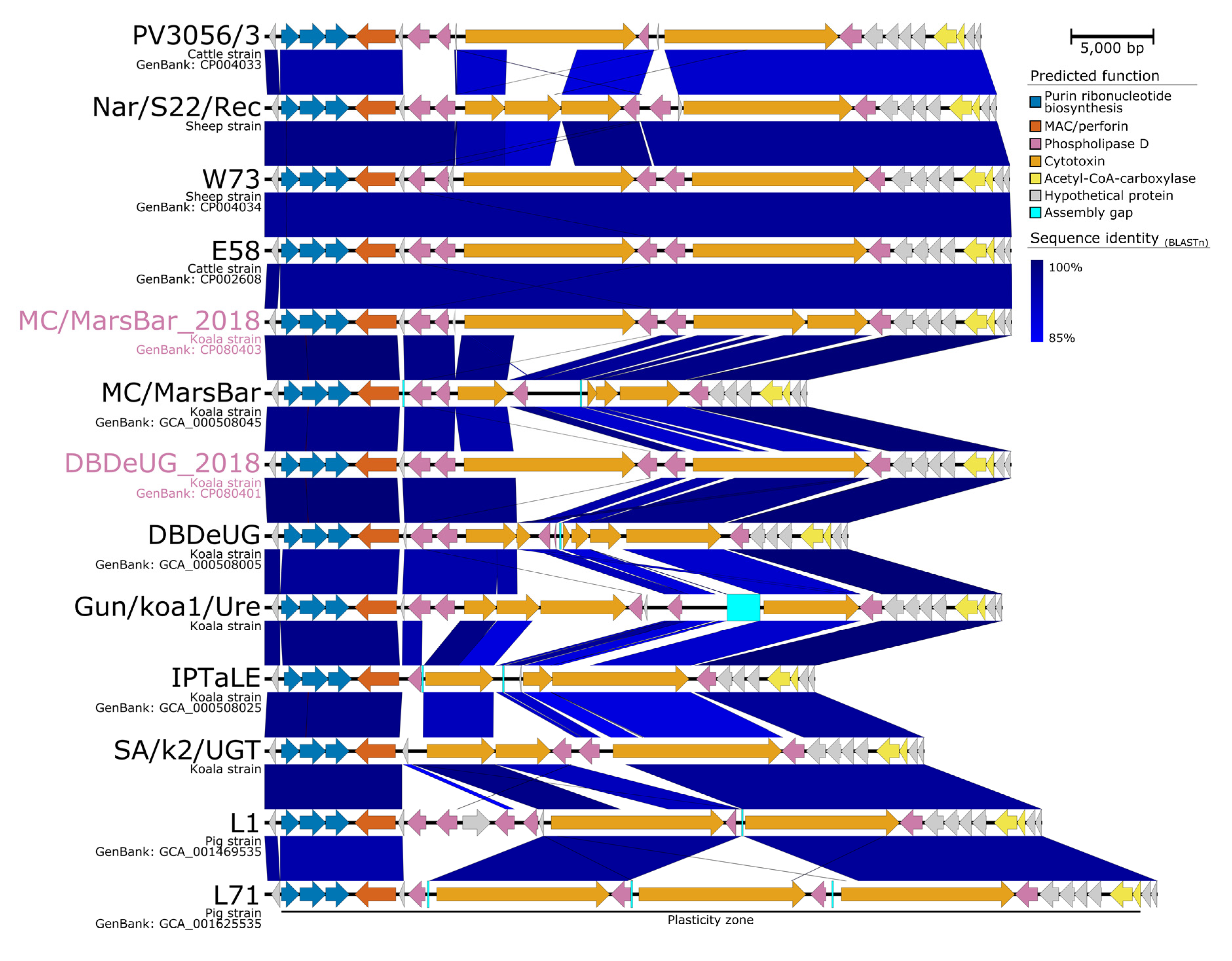 Pathogens 10 01543 g003
