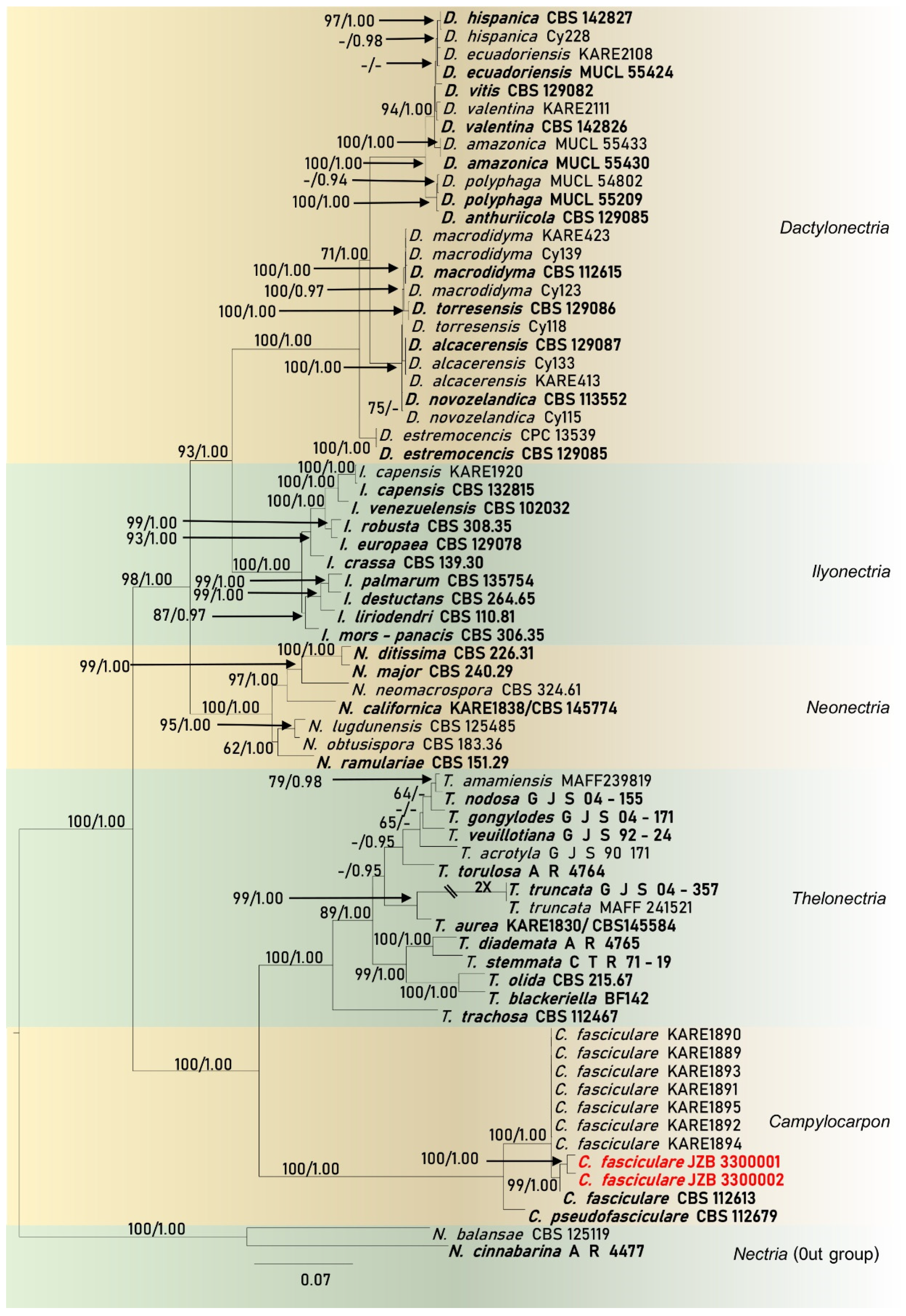 Pathogens 10 01555 g004