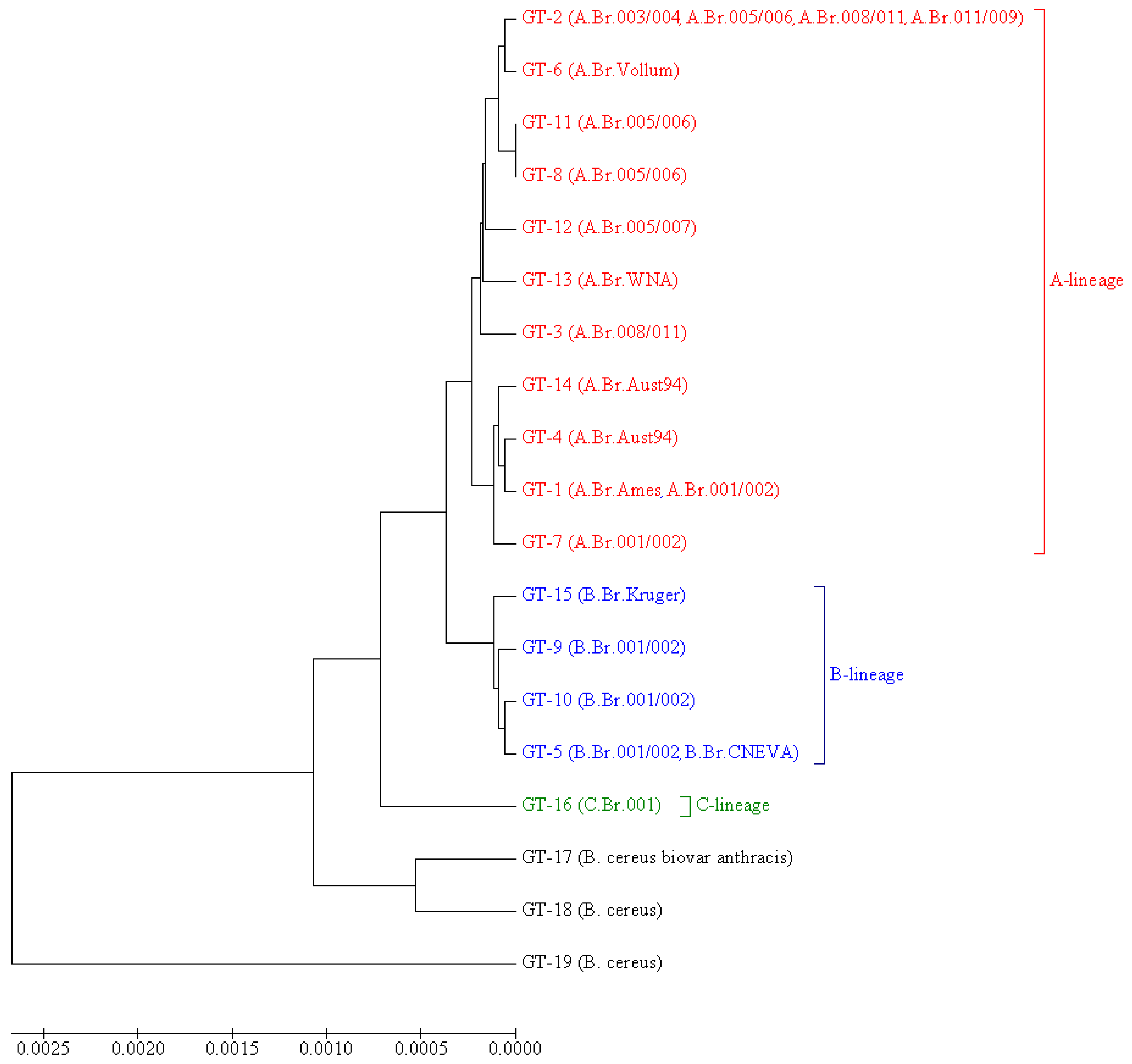 Pathogens 10 01556 g001 550