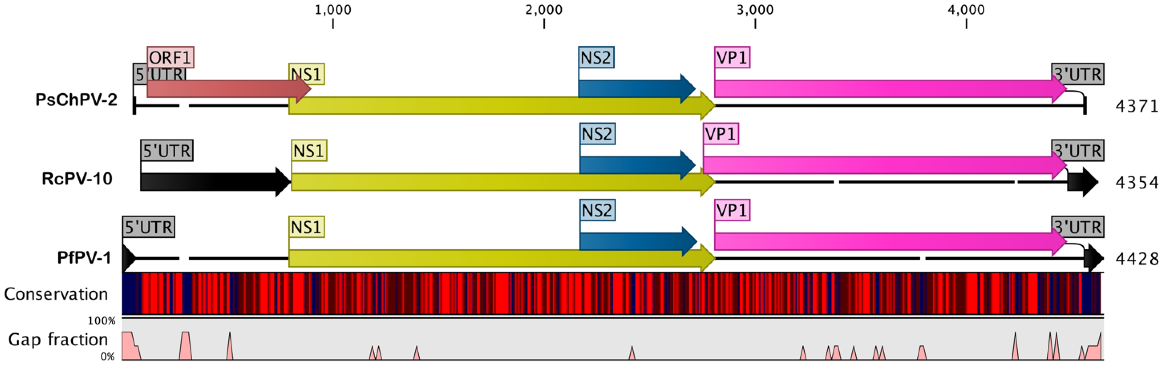 Pathogens 10 01559 g001