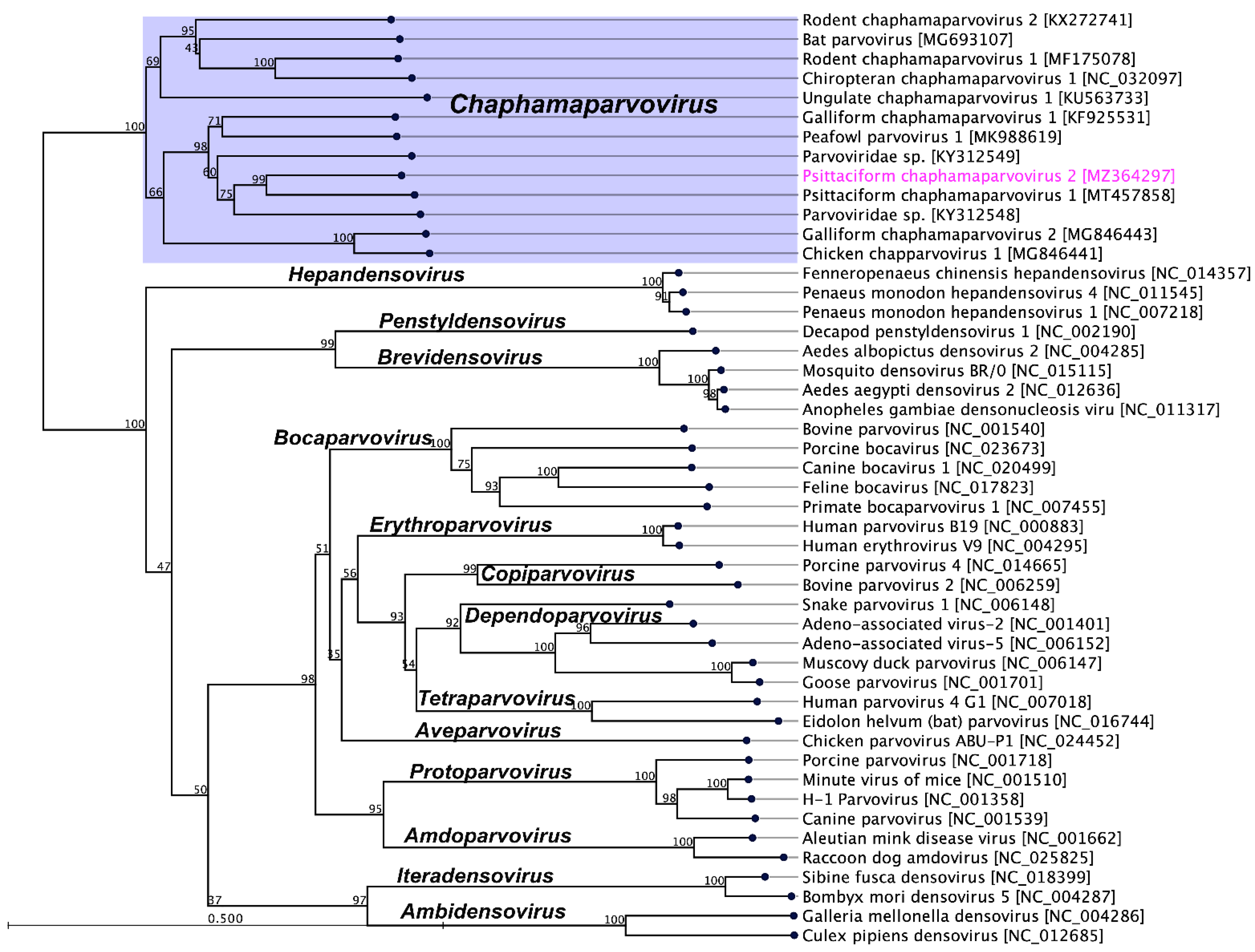 Pathogens 10 01559 g002
