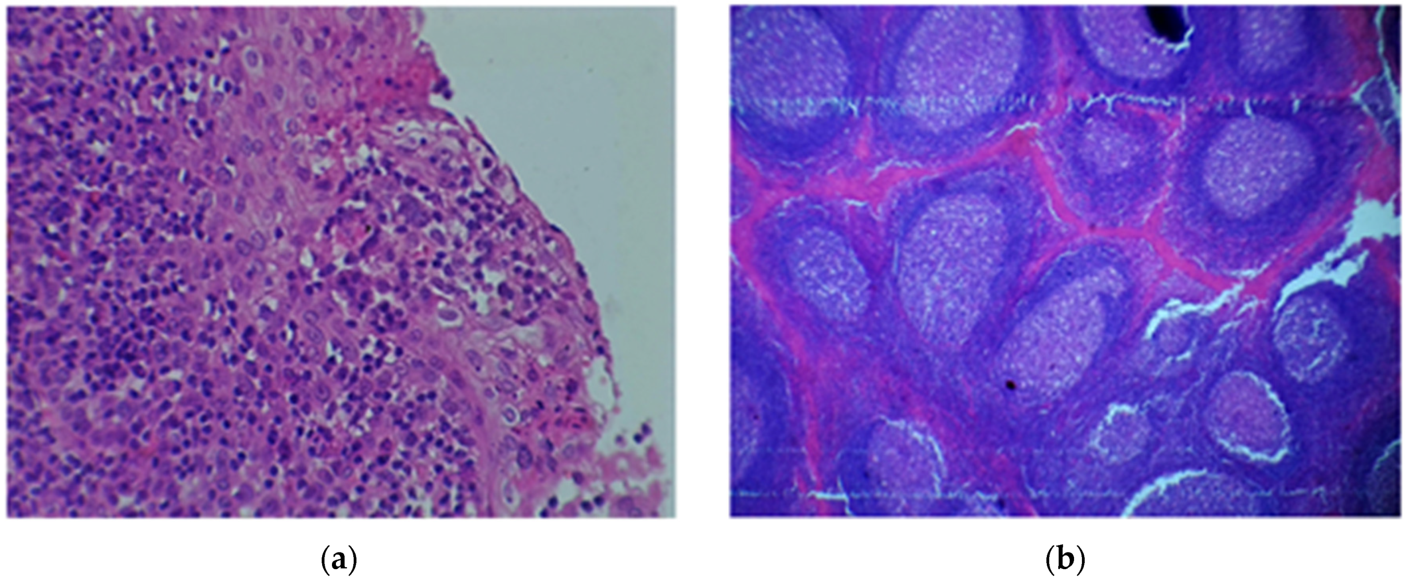 Pathogens 10 01560 g002 Pathogens 10 01560 g002