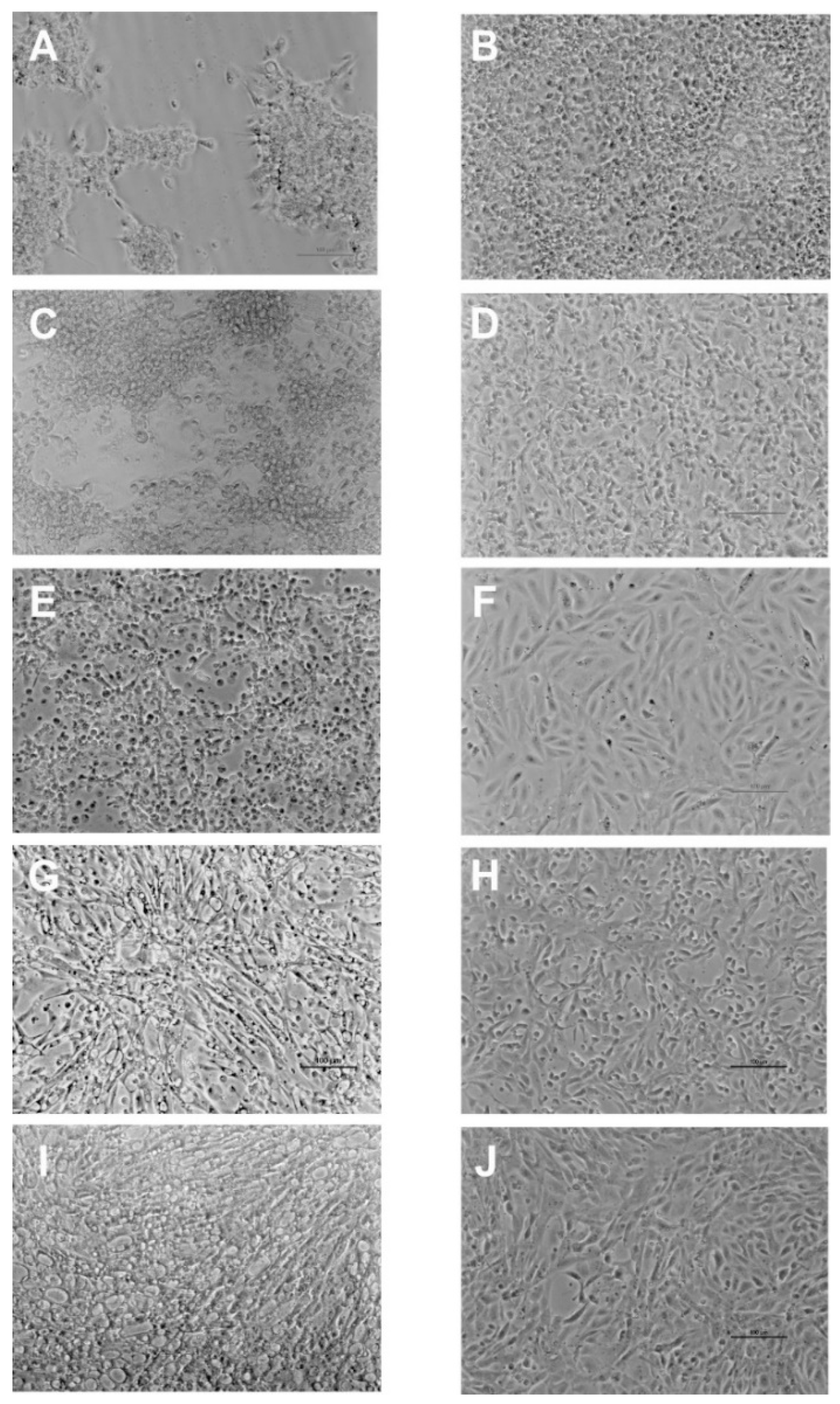 Pathogens 10 01565 g001