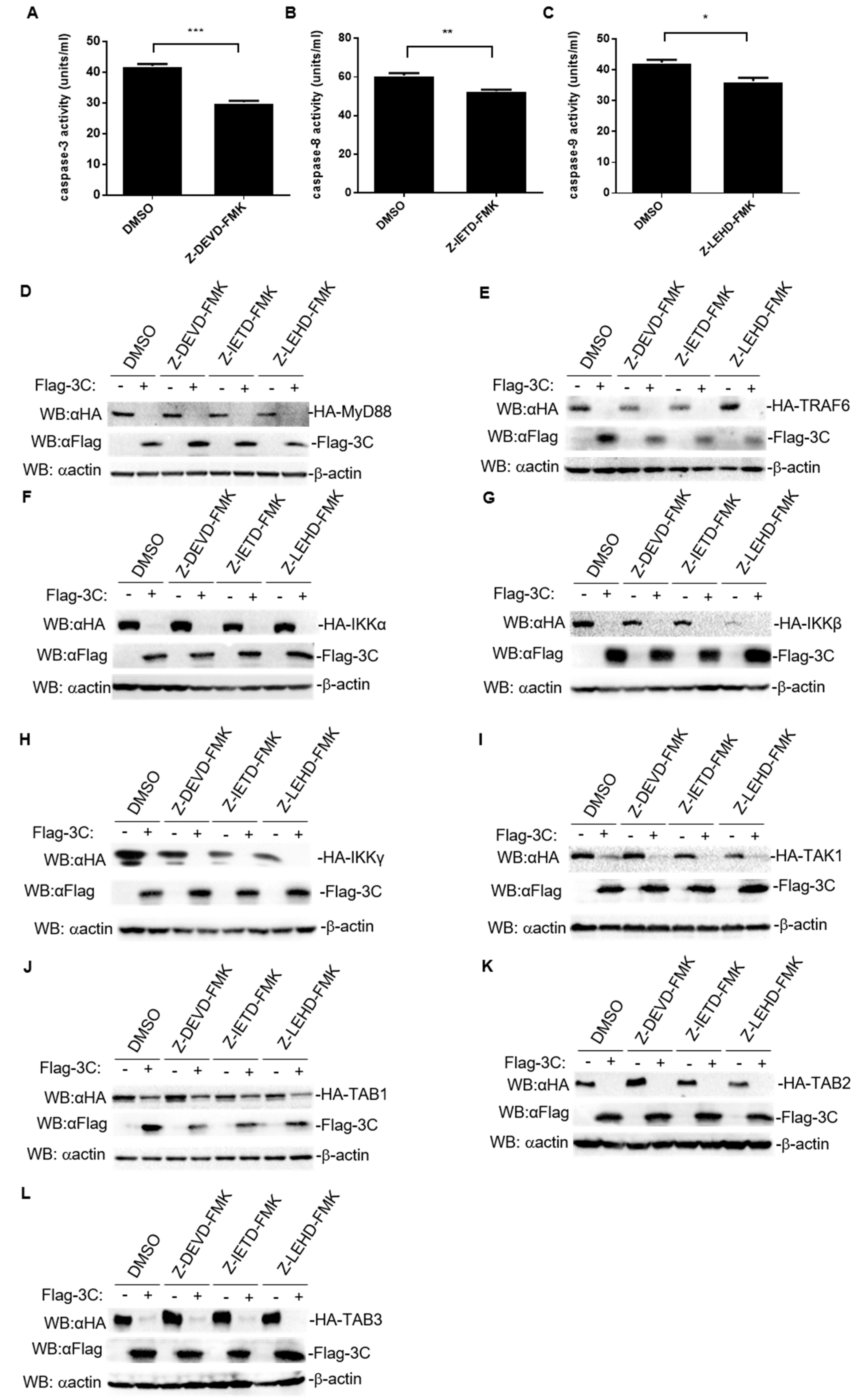 Pathogens 10 01566 g007 Pathogens 10 01566 g007