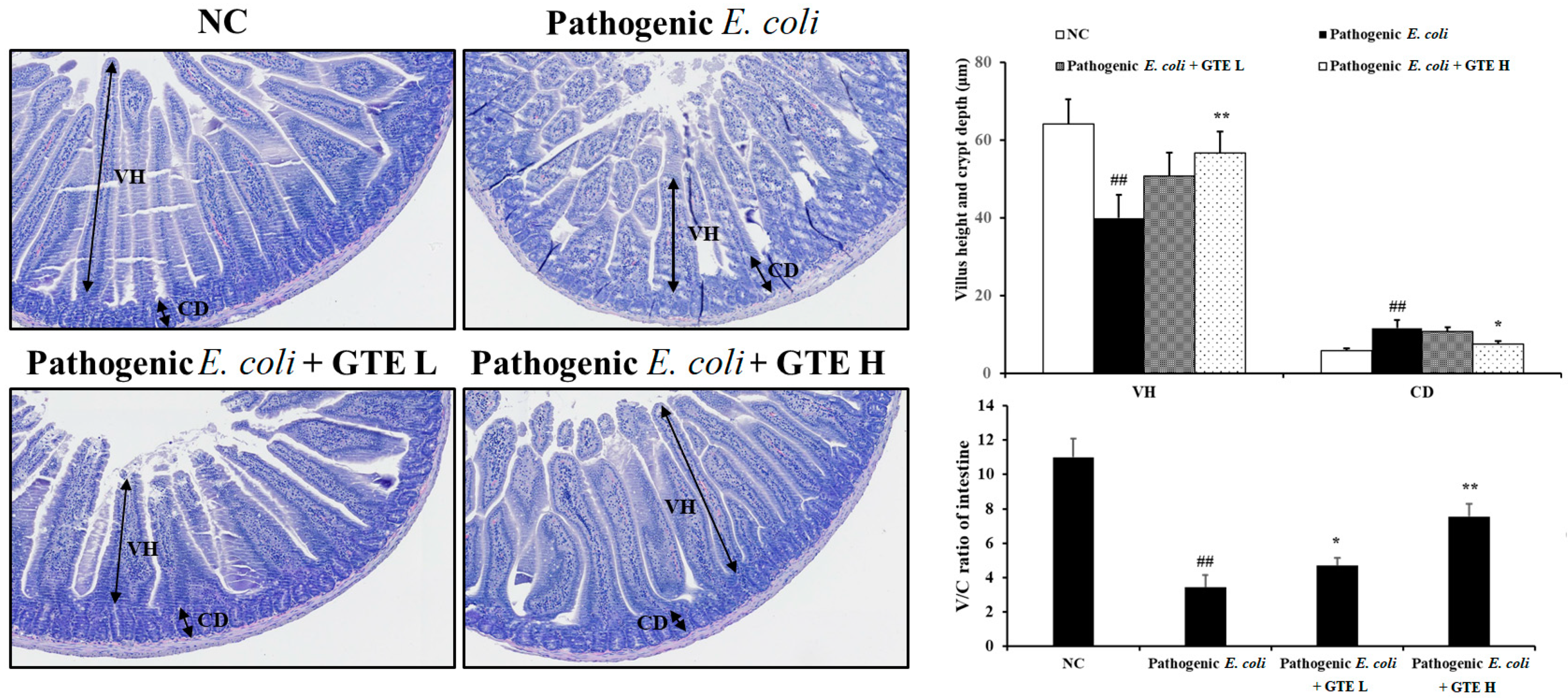 Pathogens 10 01573 g004 Pathogens 10 01573 g004