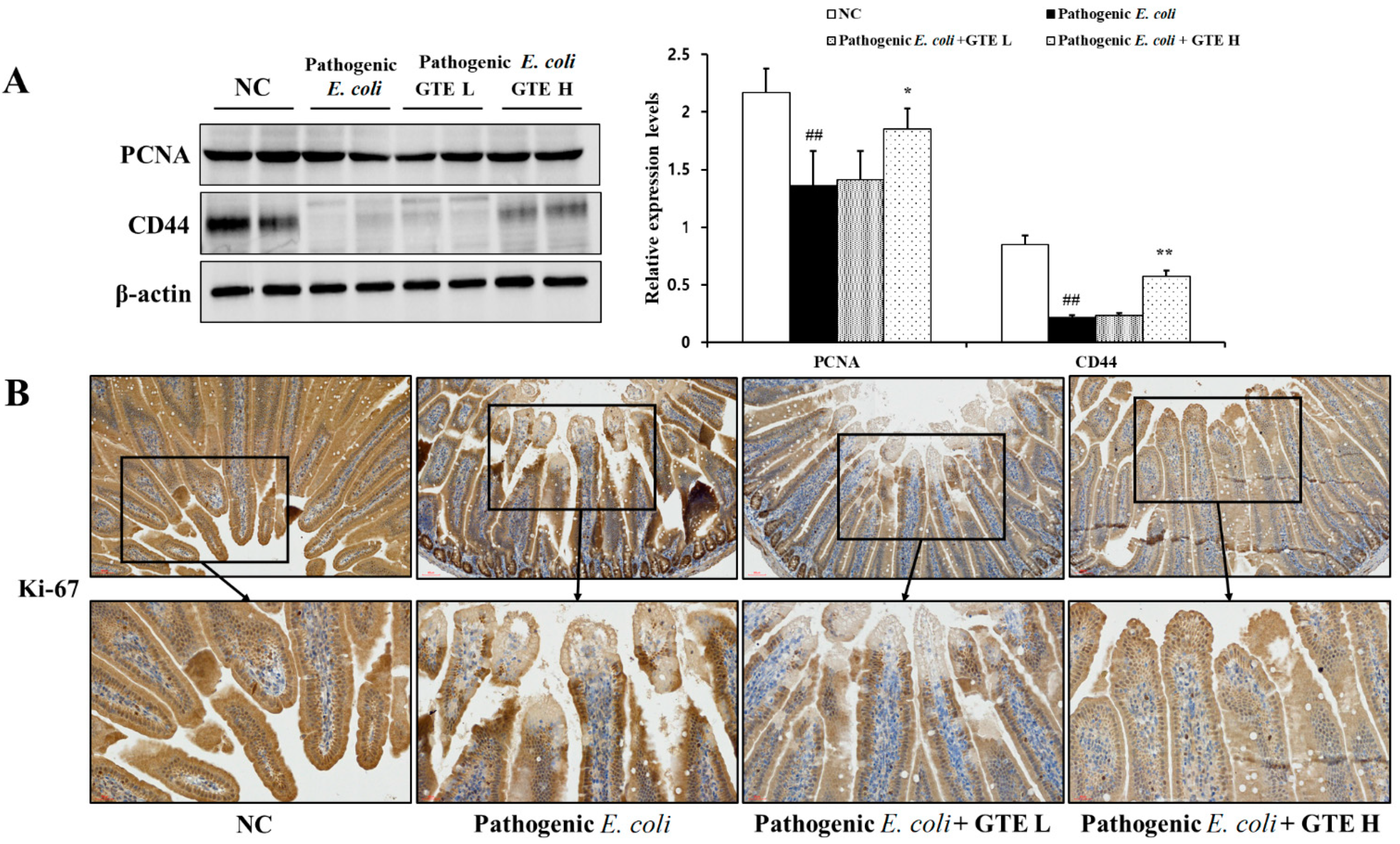 Pathogens 10 01573 g007 Pathogens 10 01573 g007