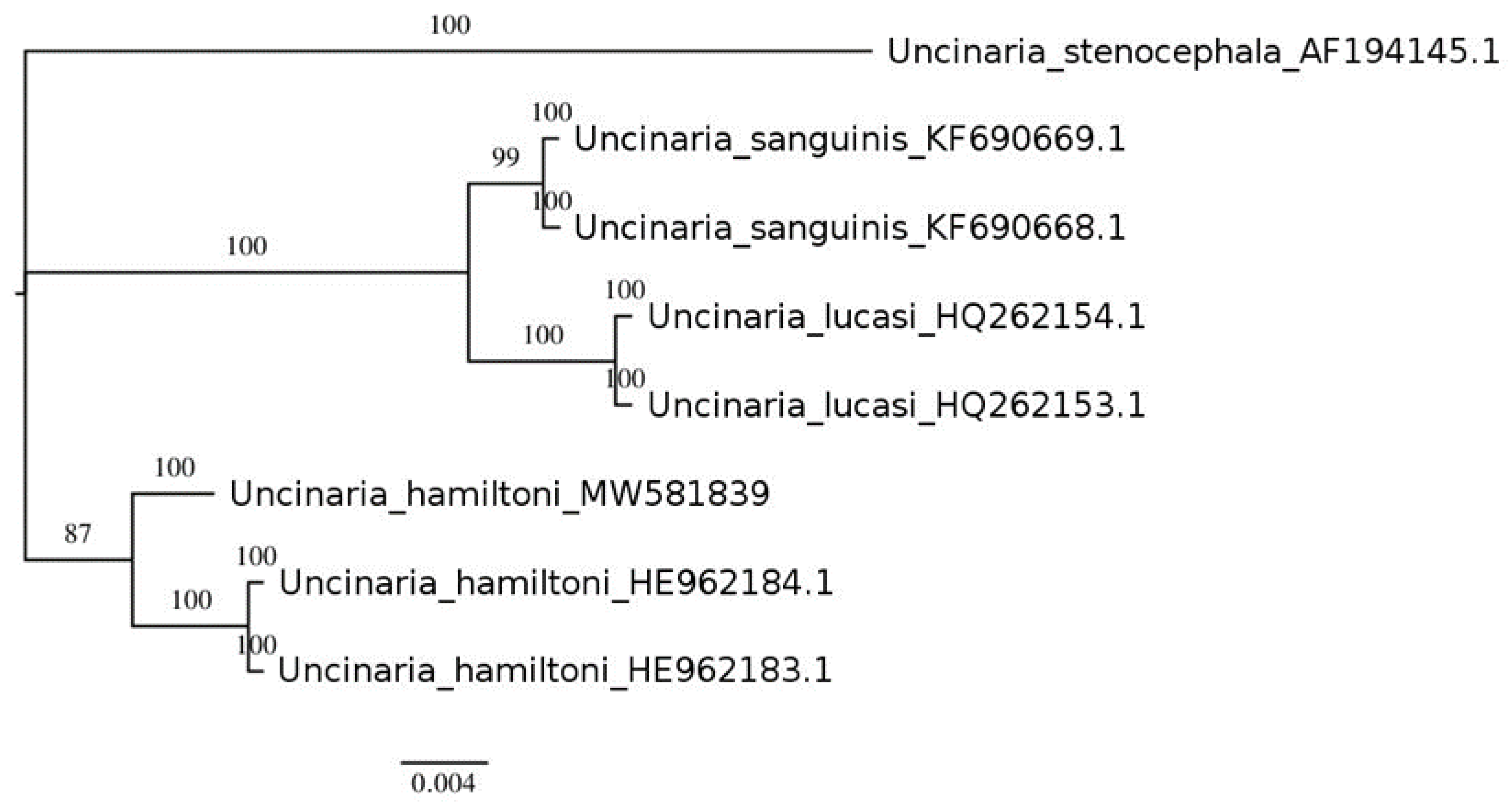 Pathogens 10 01581 g002