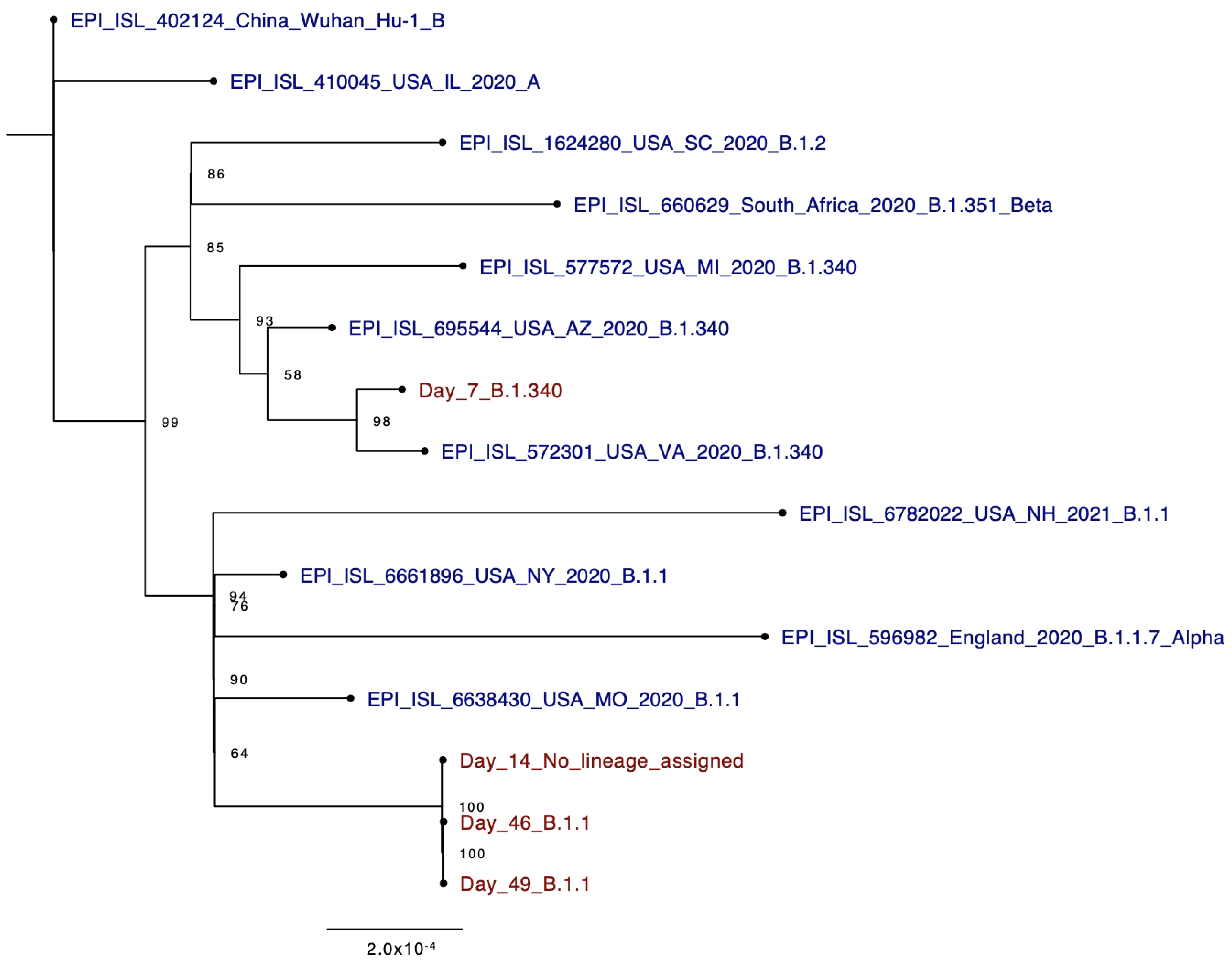 Pathogens 10 01589 g002