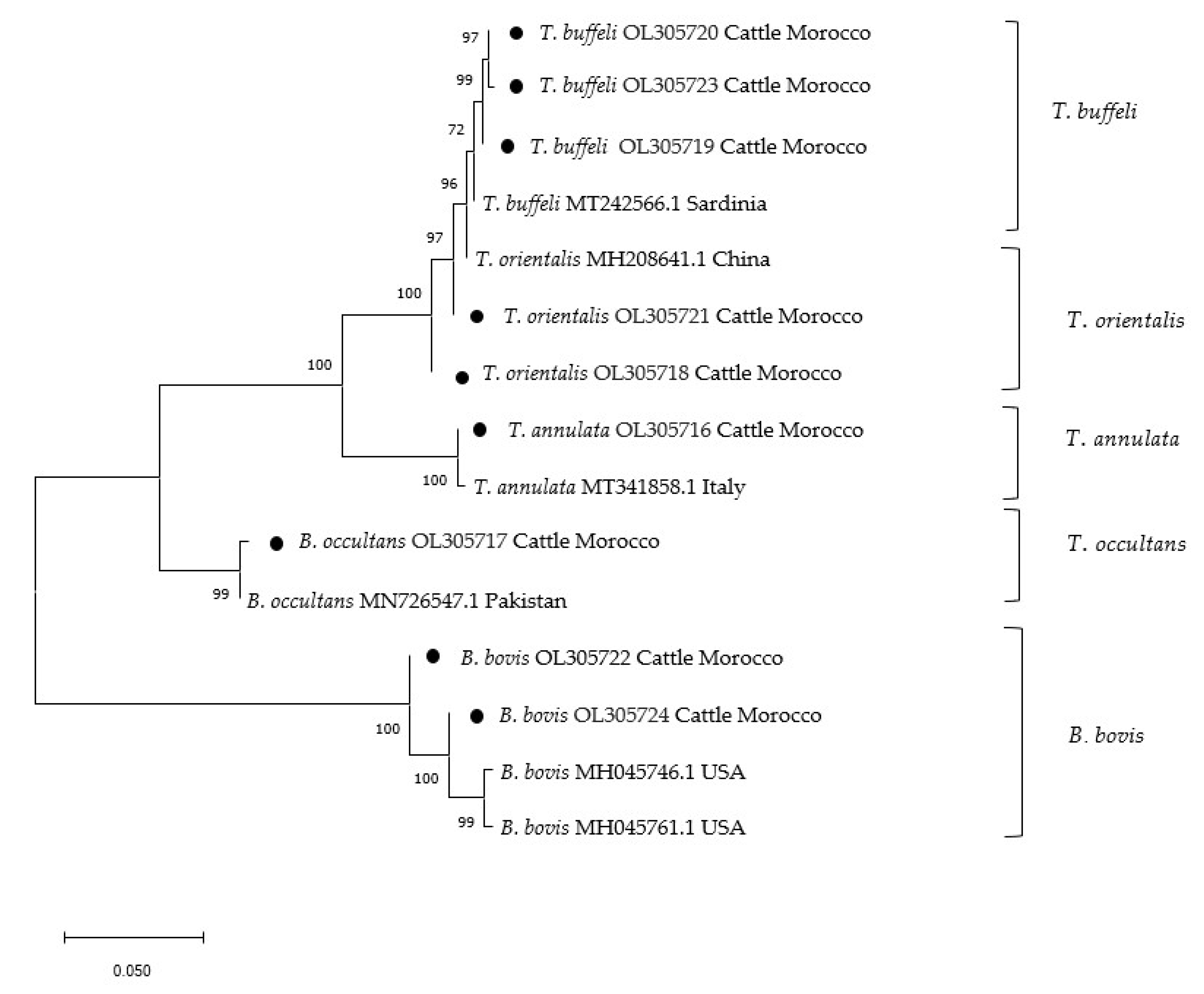 Pathogens 10 01594 g001 Pathogens 10 01594 g001