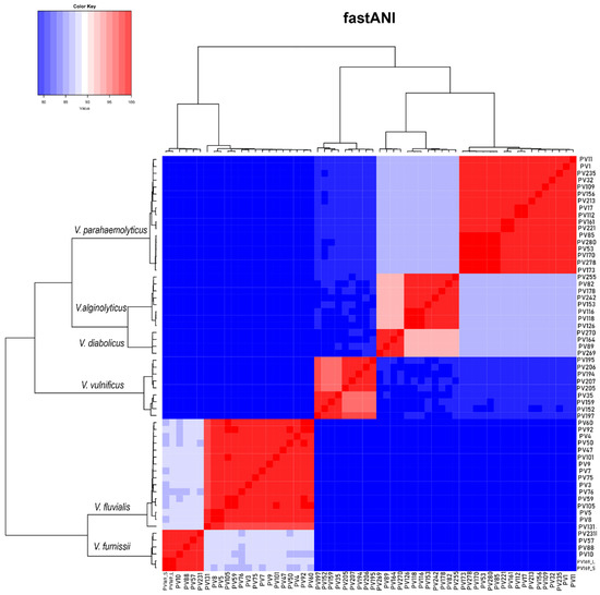 Pathogens Free Full Text Comparative Genomics Of Clinical And Environmental Isolates Of Vibrio Spp Of Colombia Implications Of Traits Associated With Virulence And Resistance Html