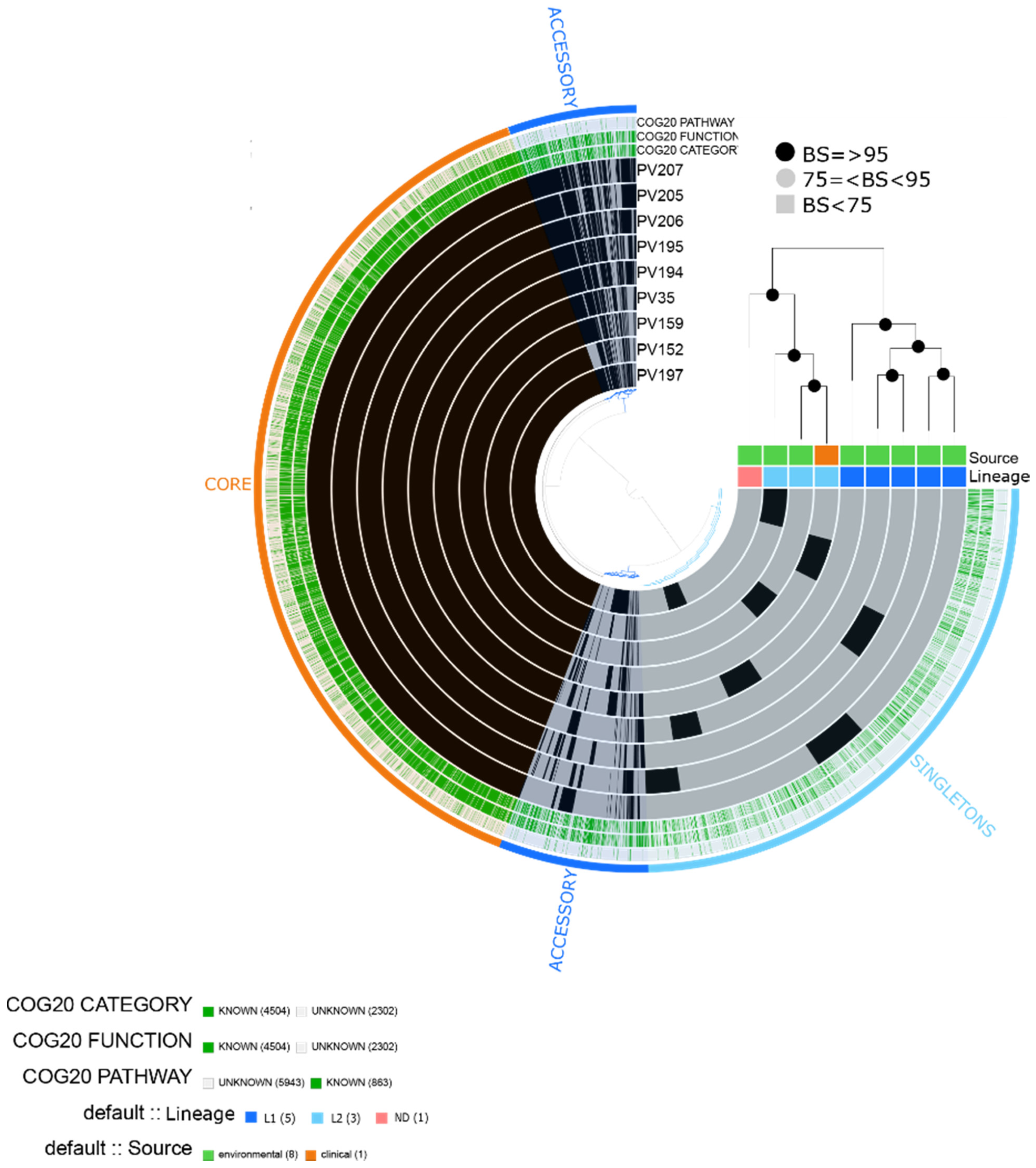 Pathogens 10 01605 g004