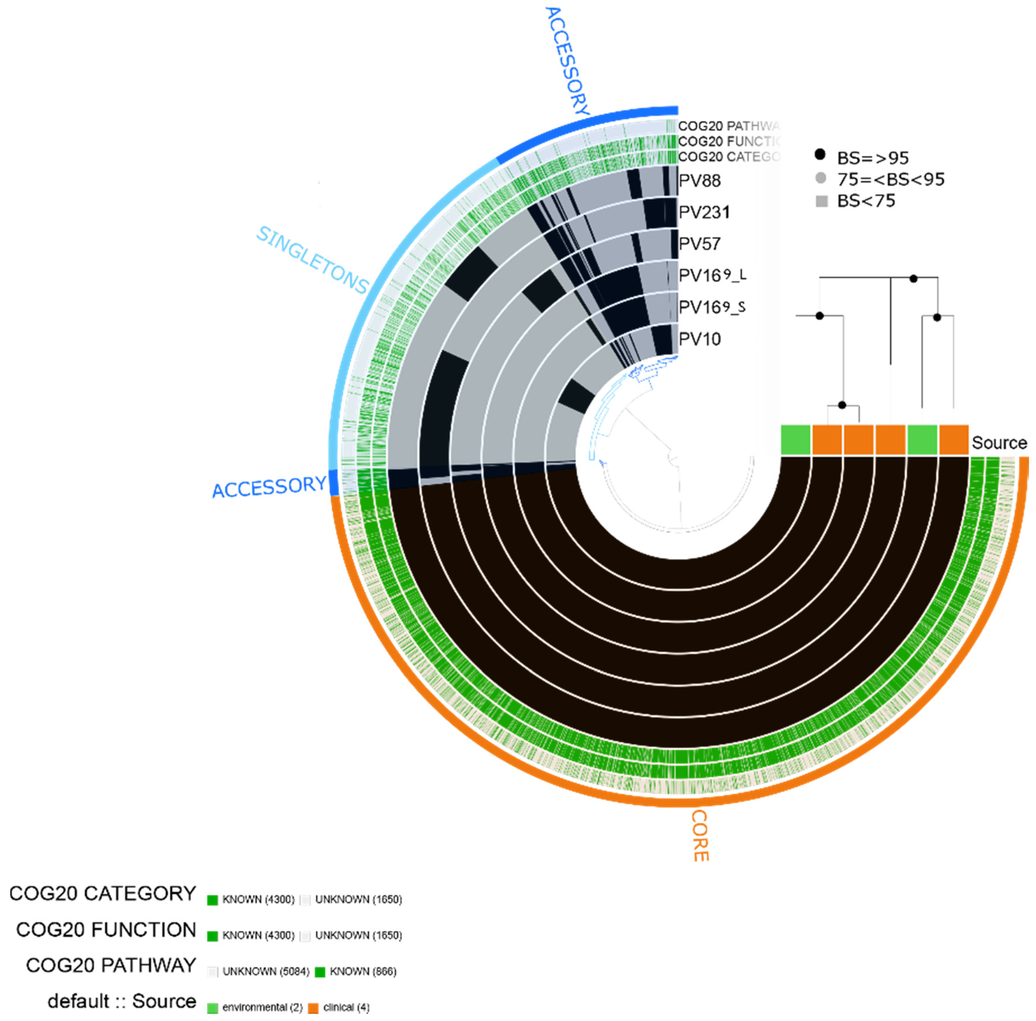 Pathogens 10 01605 g008
