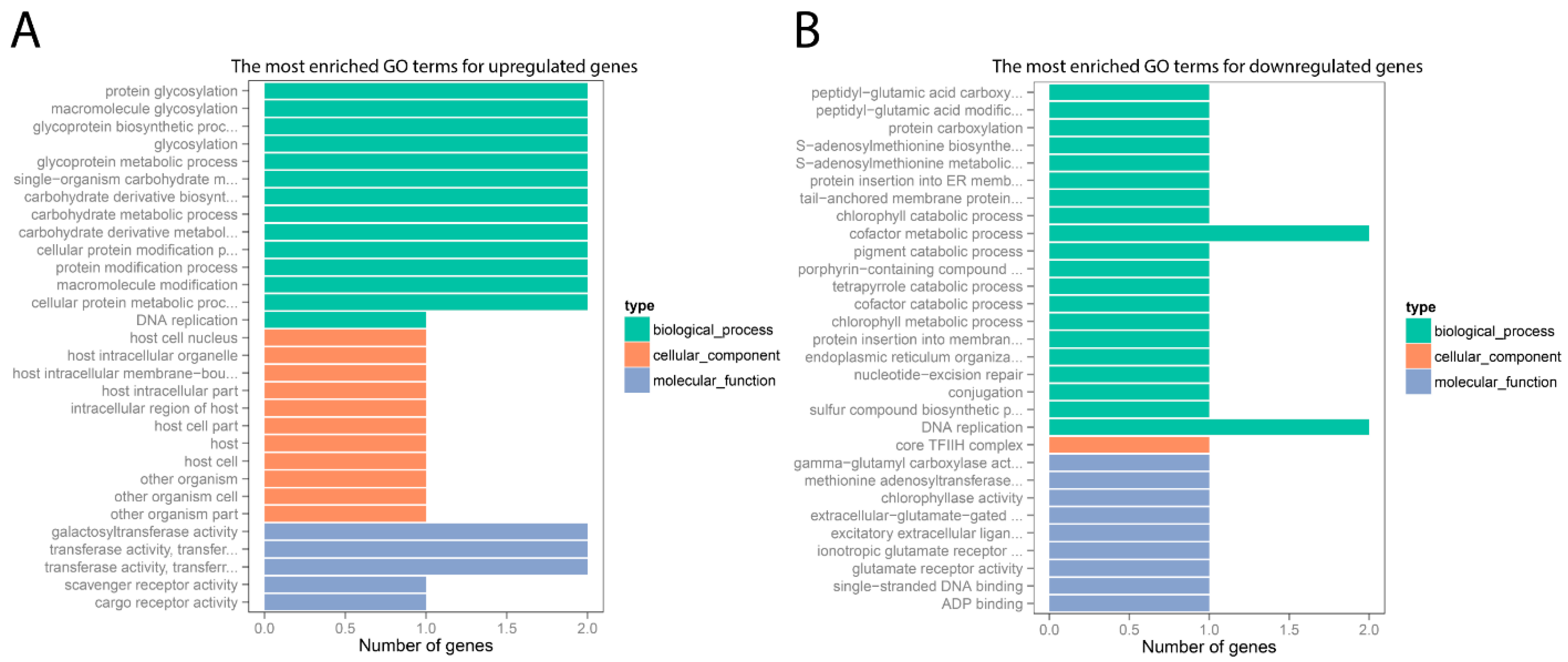 Pathogens 10 01607 g003