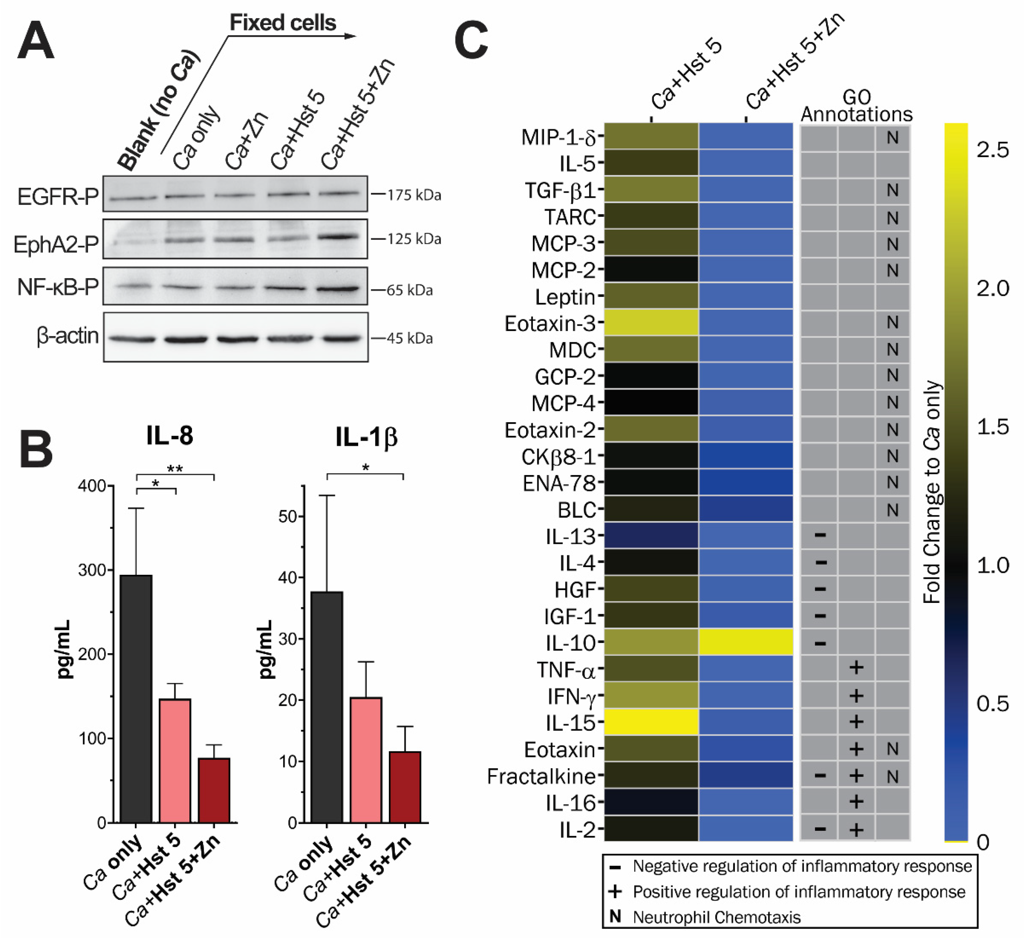 Pathogens 10 01609 g003