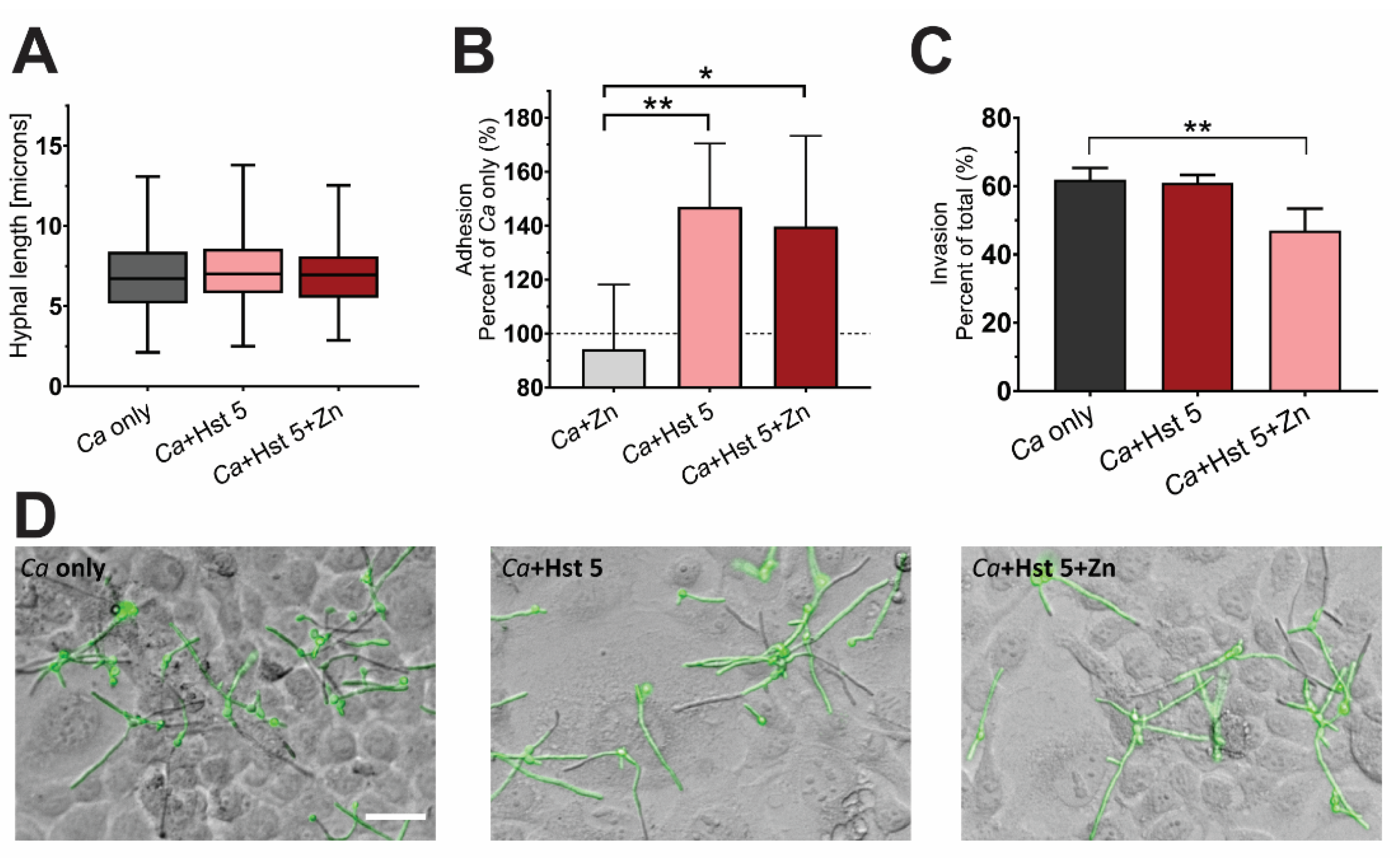 Pathogens 10 01609 g004