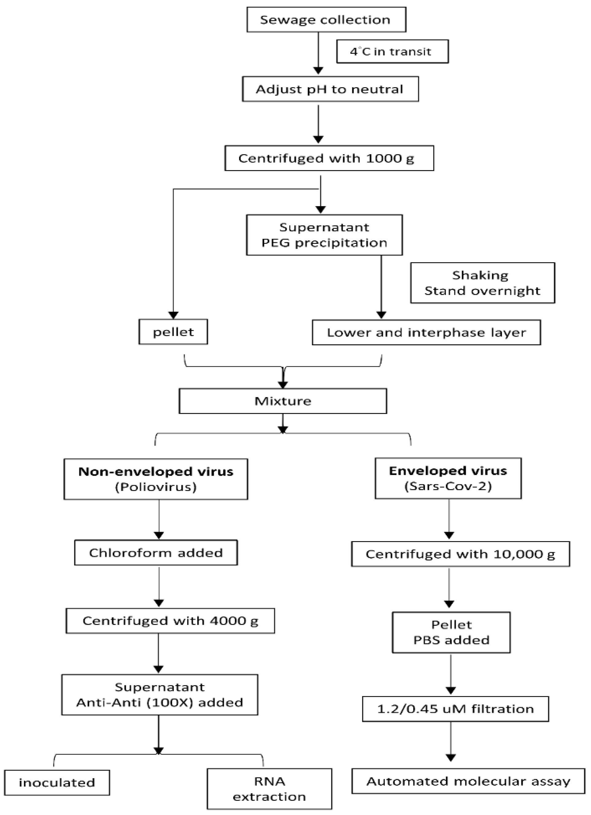 Pathogens 10 01611 g003 Pathogens 10 01611 g003