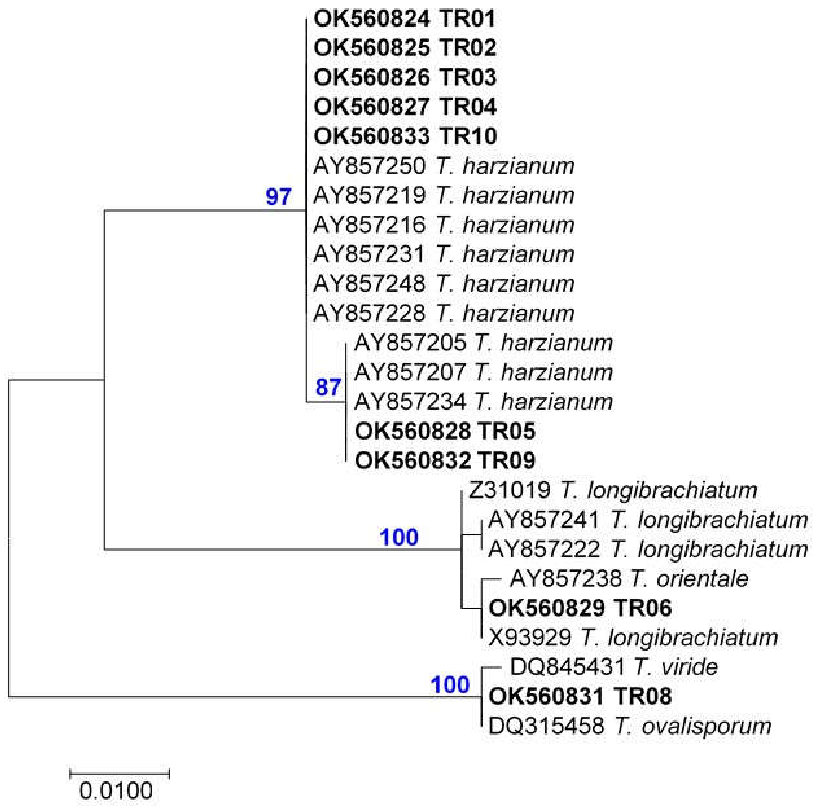 Pathogens 10 01612 g002