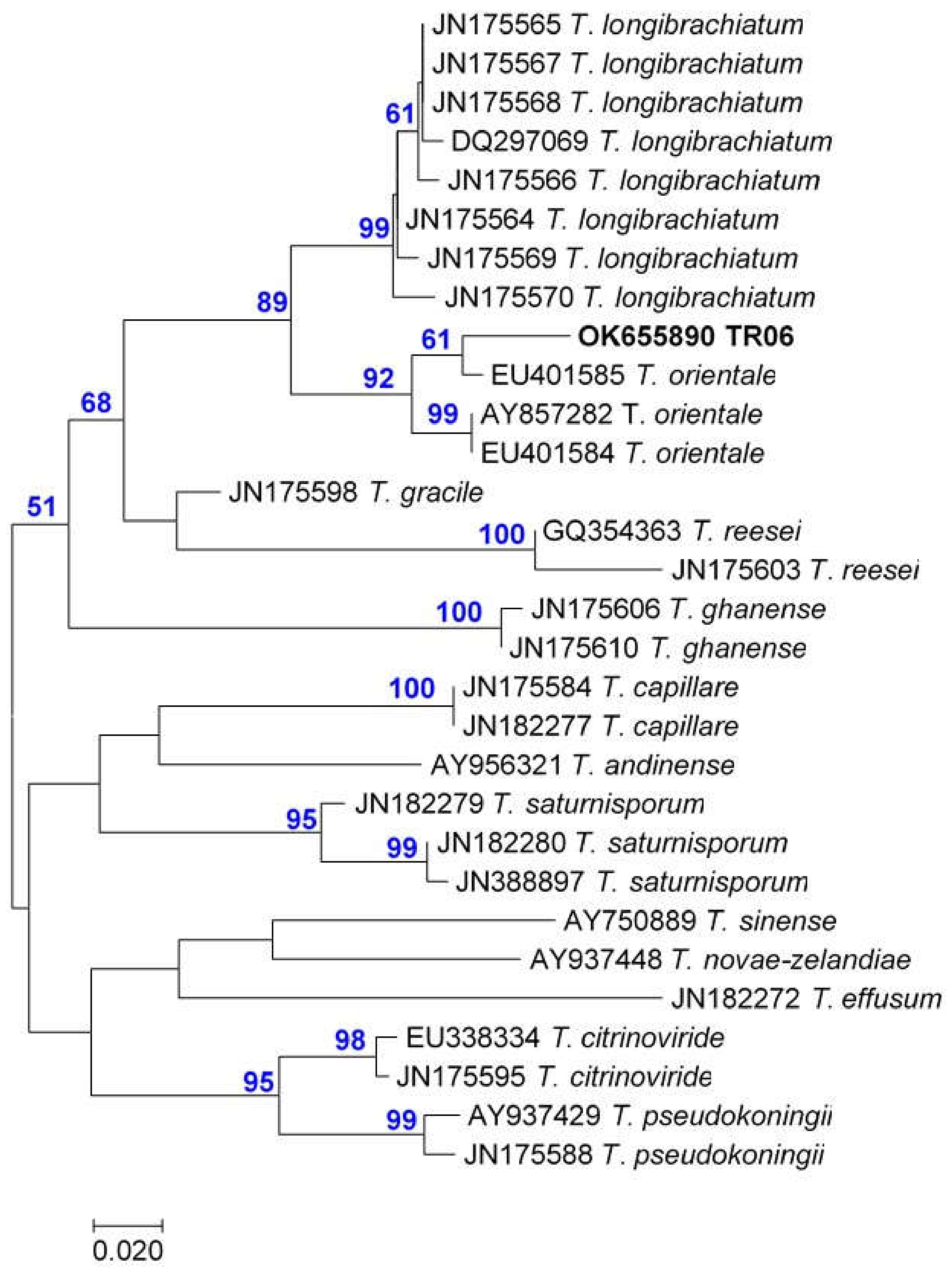 Pathogens 10 01612 g003