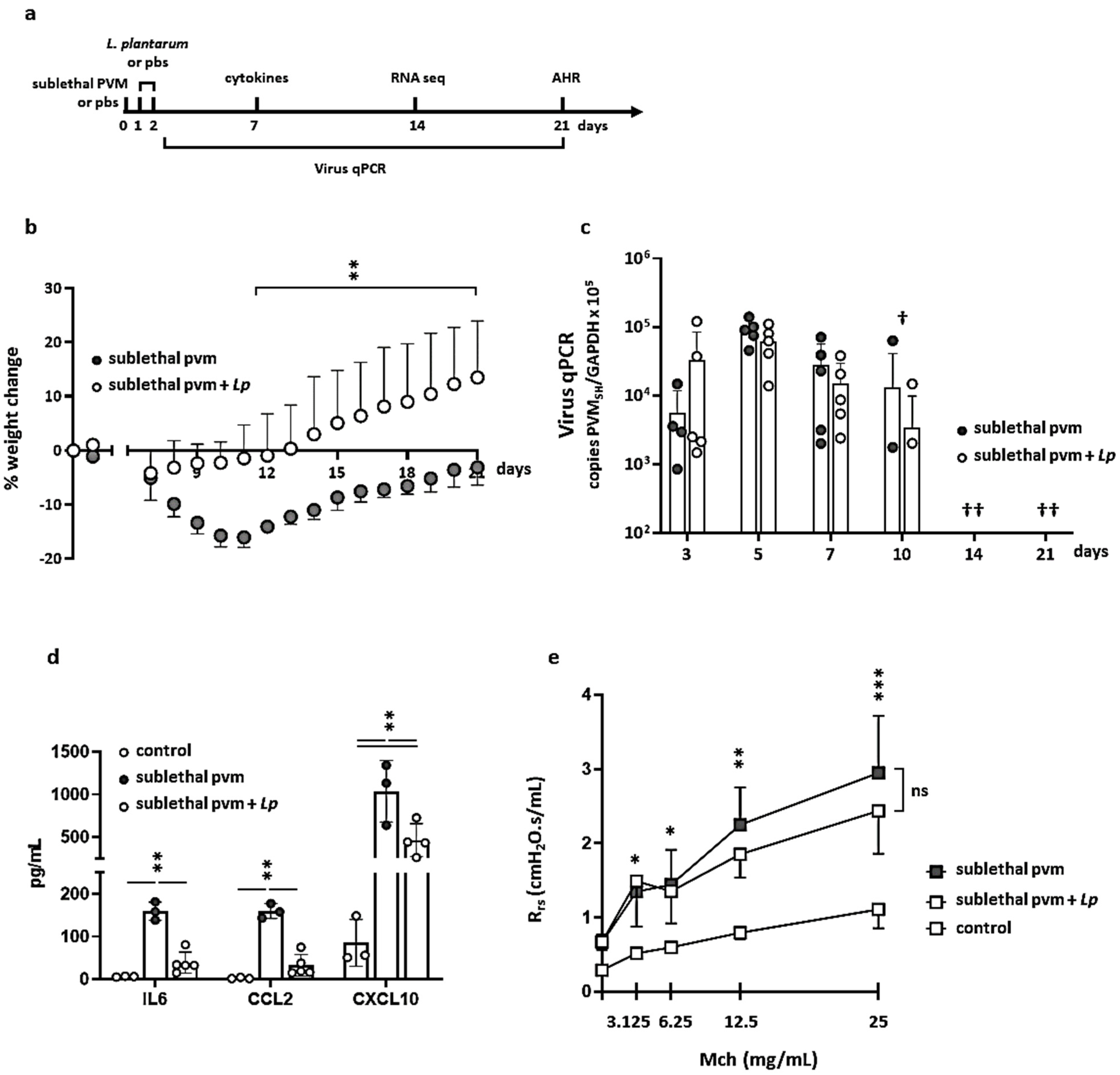 Pathogens 10 01625 g001