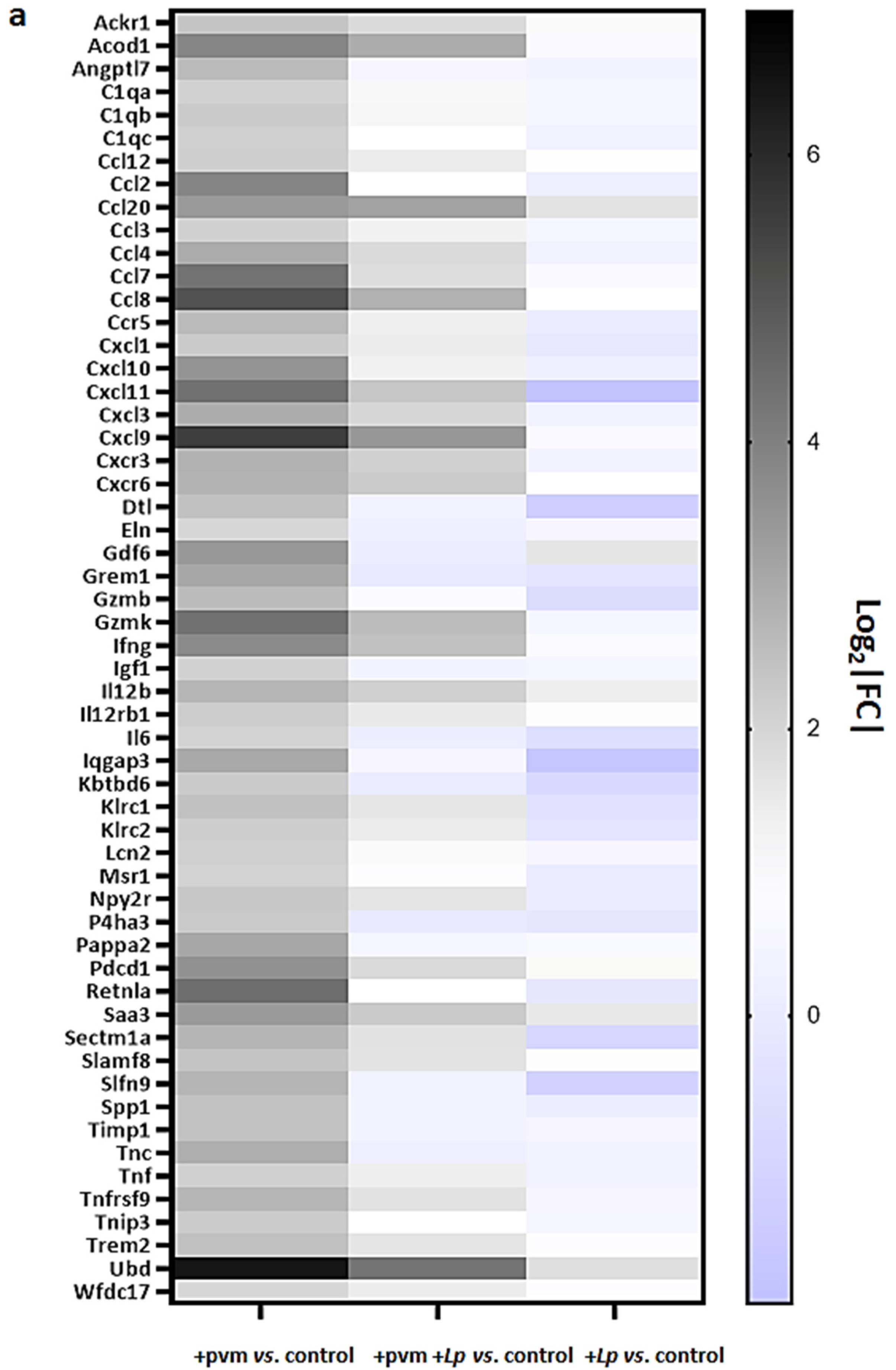 Pathogens 10 01625 g002a