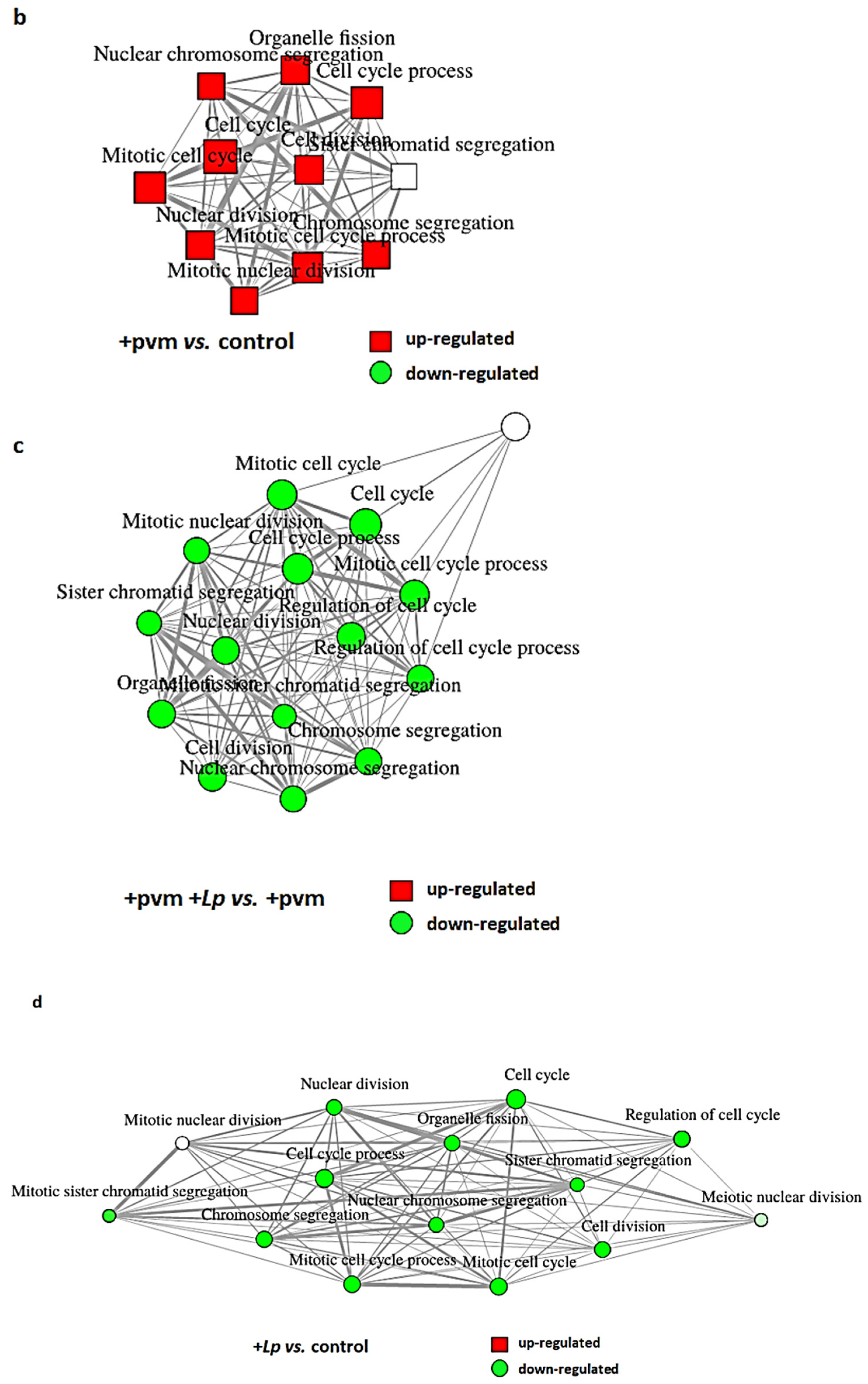 Pathogens 10 01625 g003b