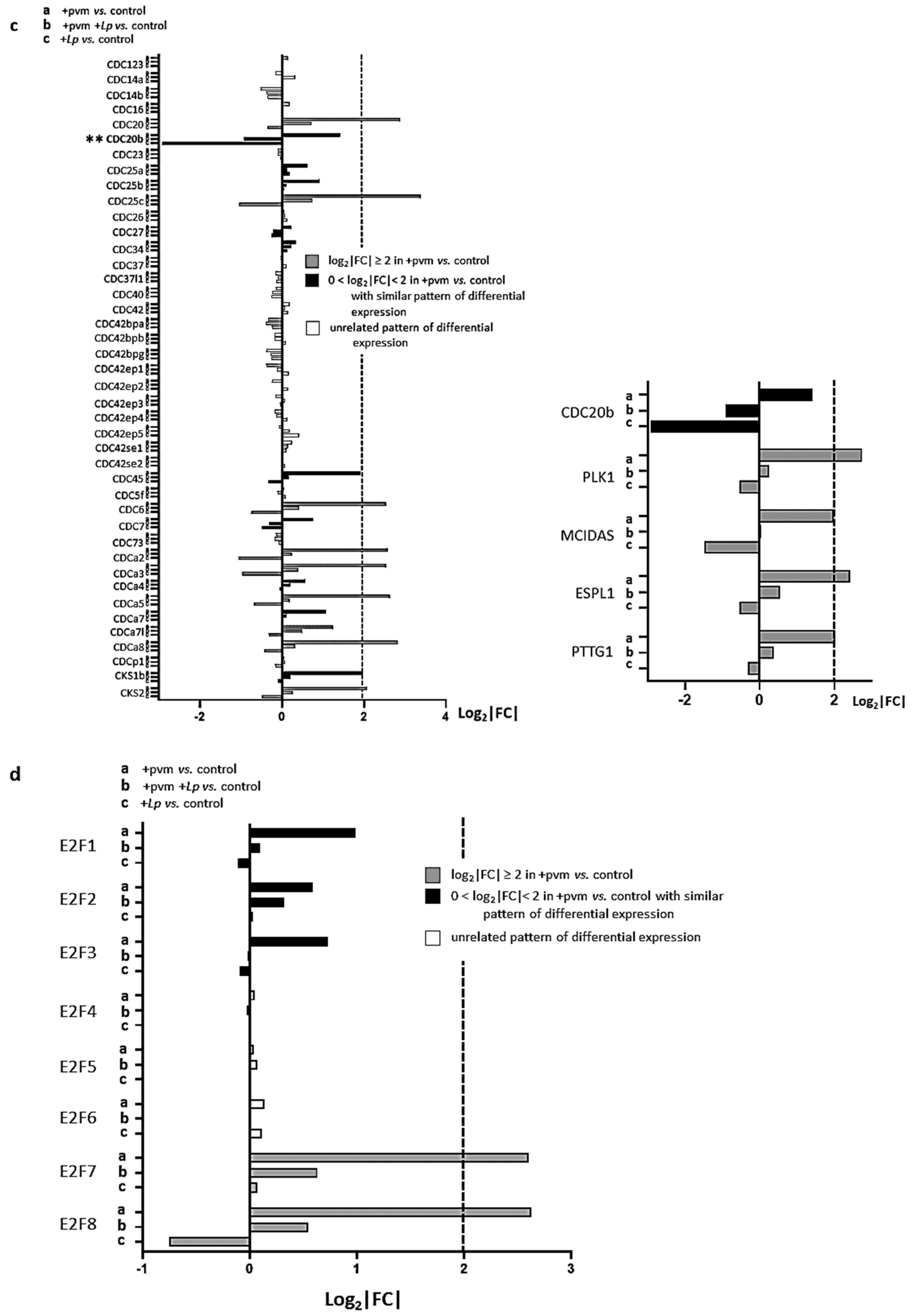 Pathogens 10 01625 g004c