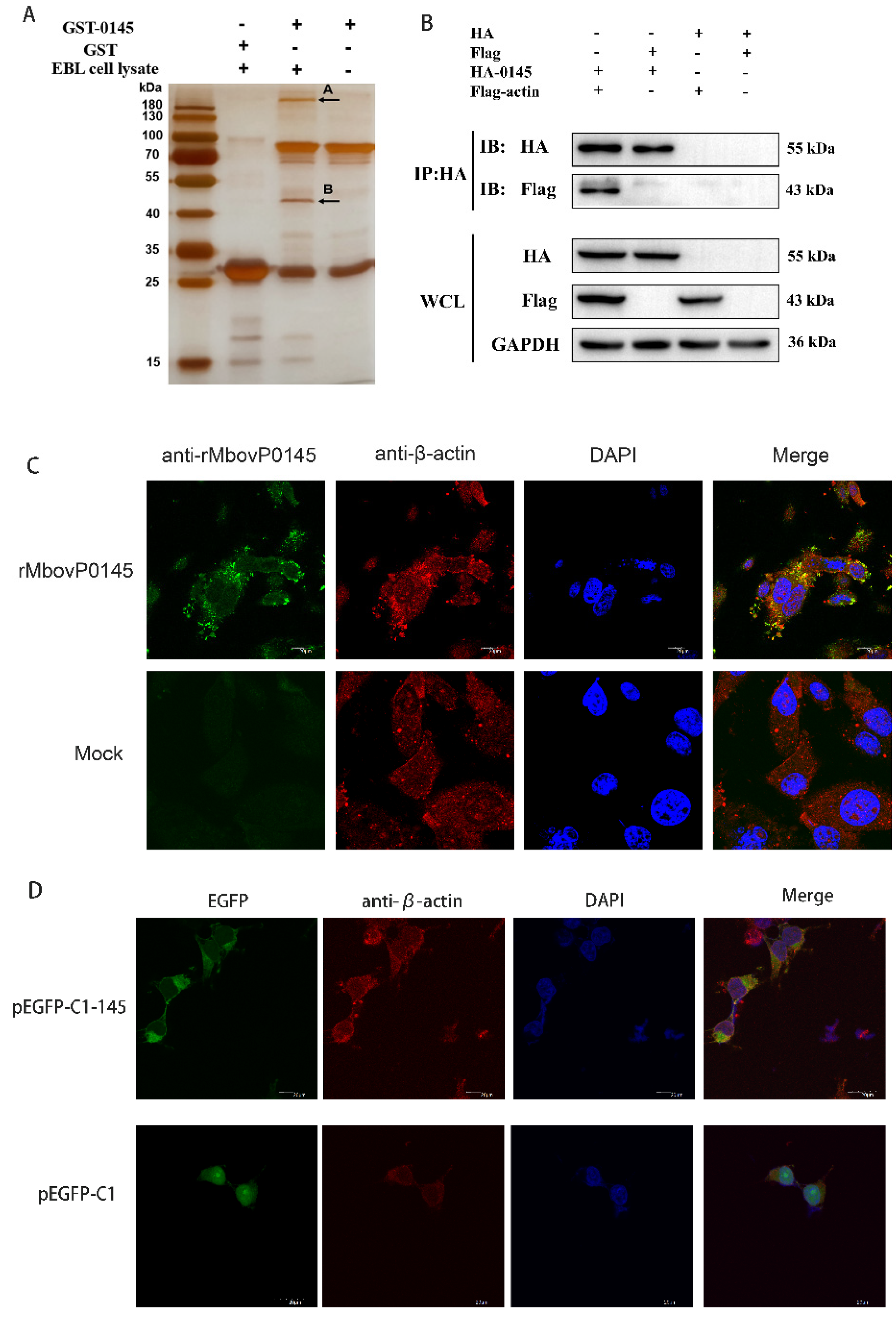 Pathogens 10 01628 g004 Pathogens 10 01628 g004
