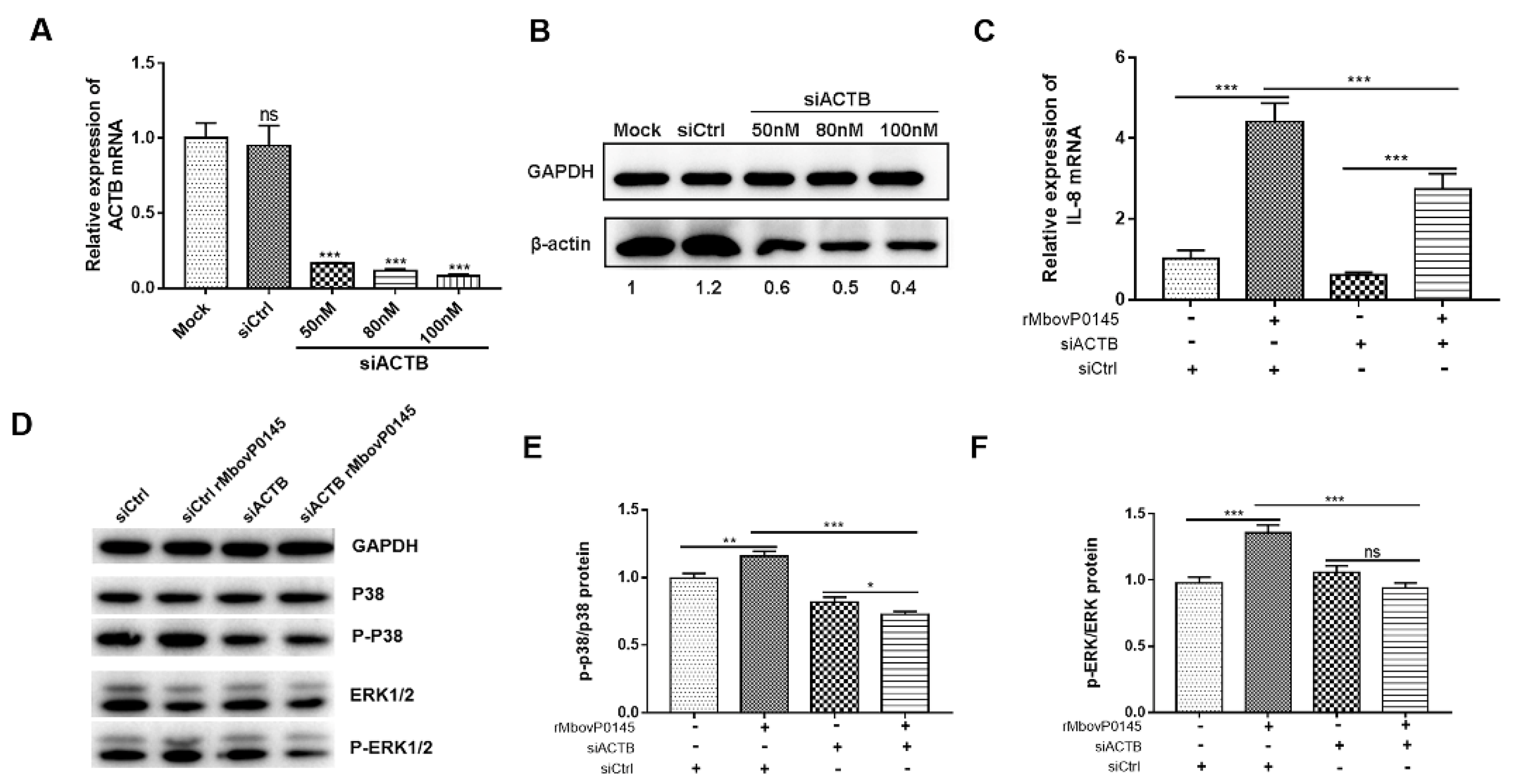 Pathogens 10 01628 g005 Pathogens 10 01628 g005