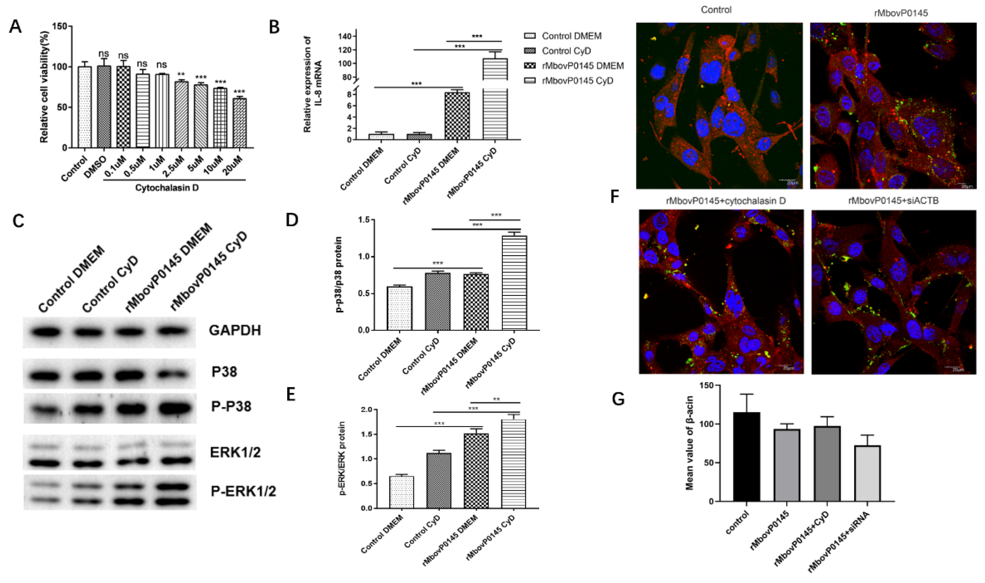 Pathogens 10 01628 g006 Pathogens 10 01628 g006