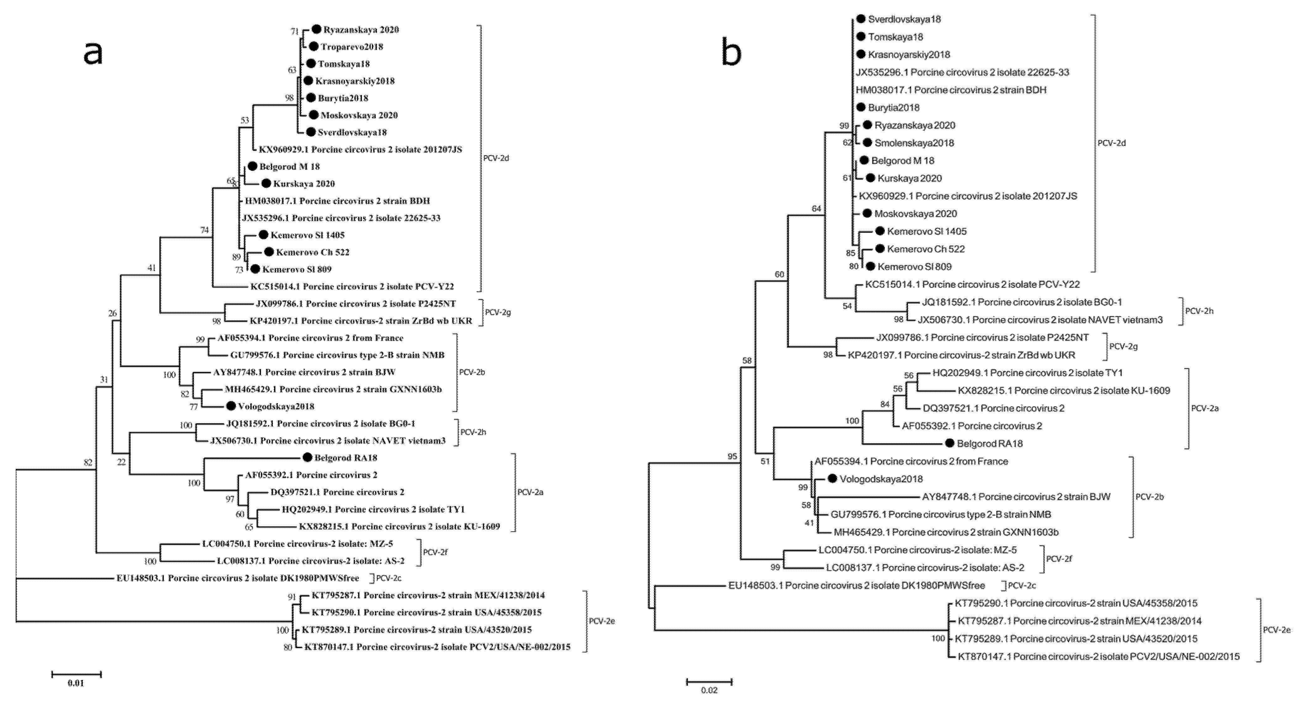 Pathogens 10 01631 g002 550