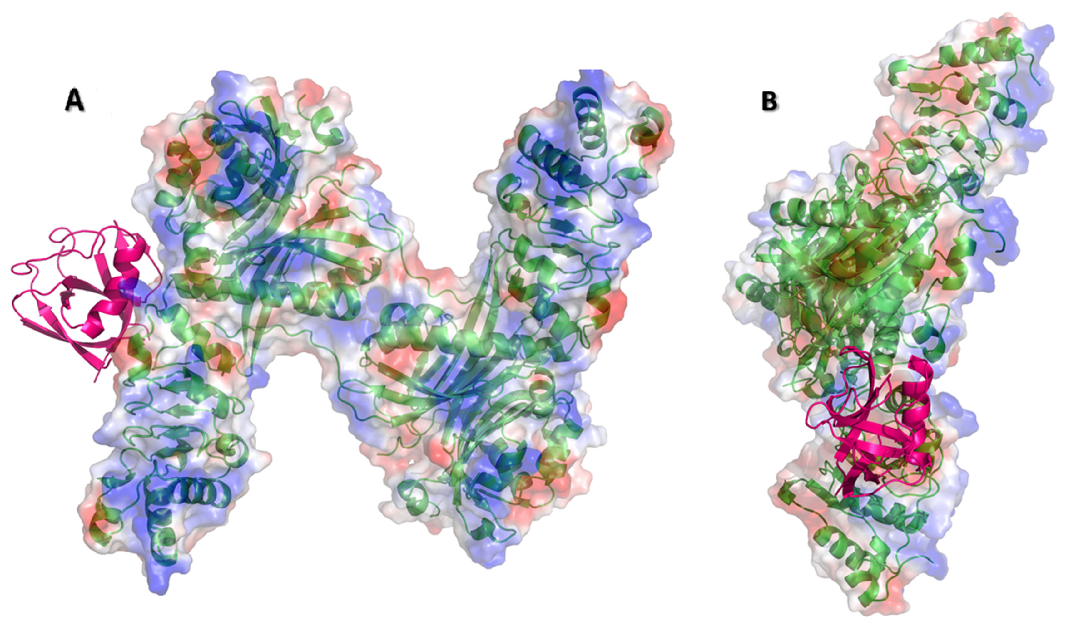 Pathogens 10 01634 g004 550
