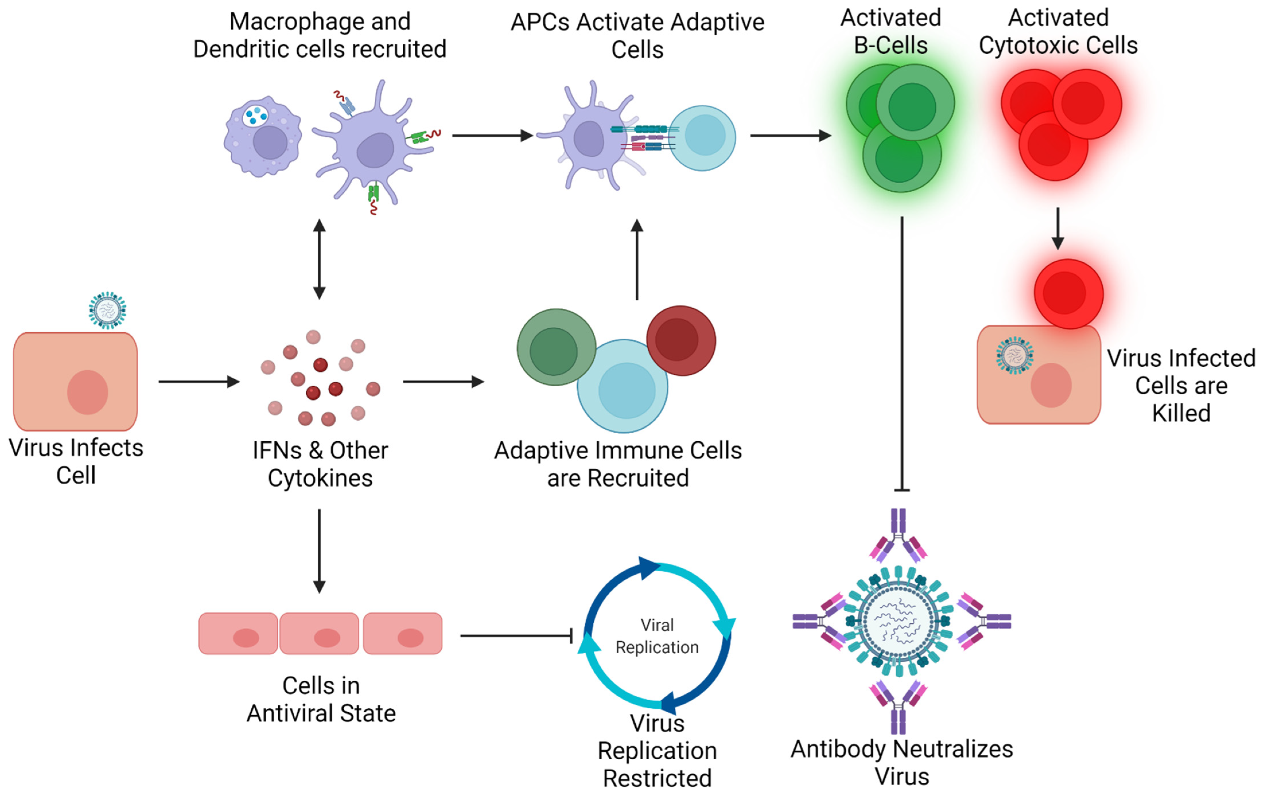 Pathogens 10 01636 g001 Pathogens 10 01636 g001