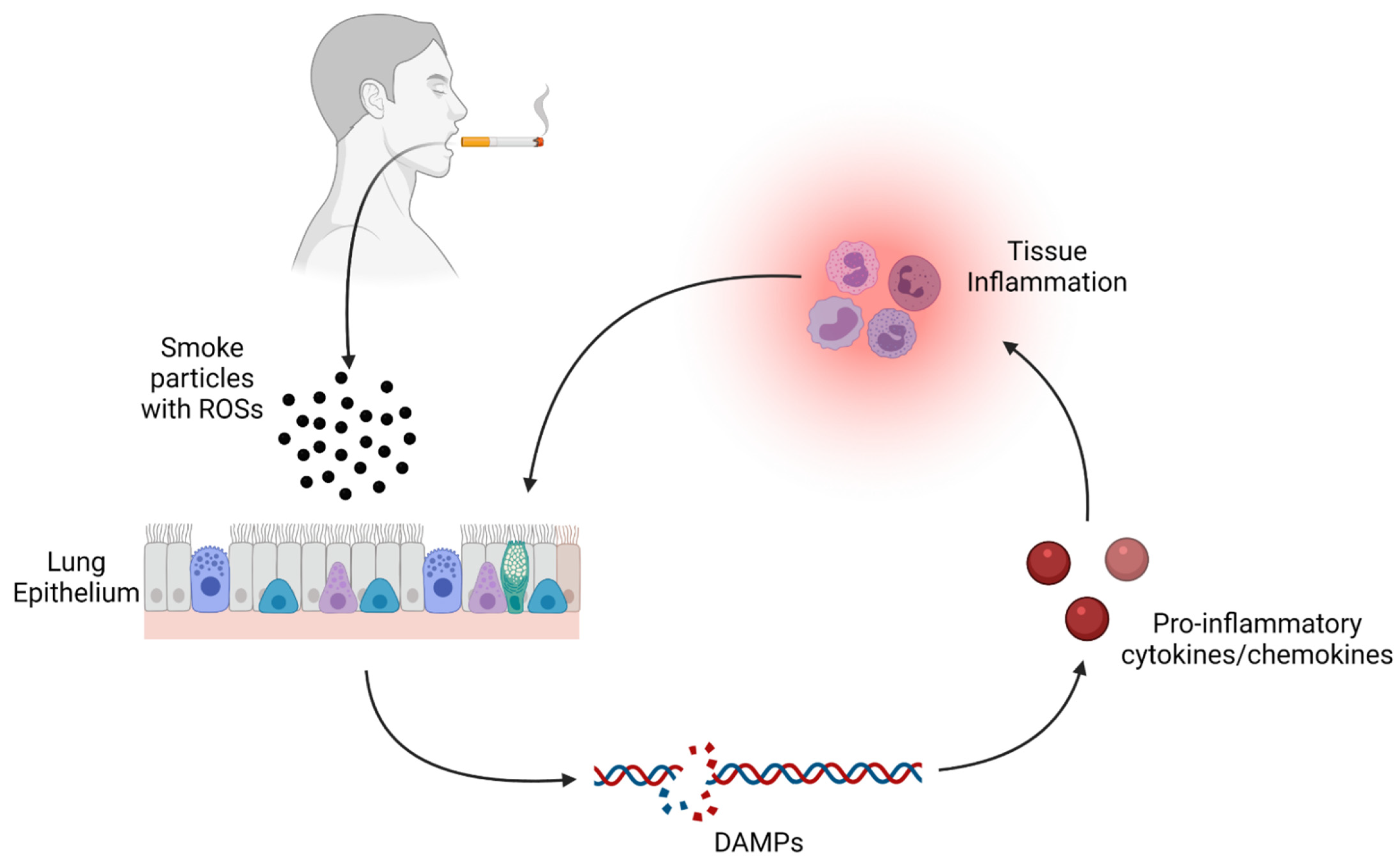 Pathogens 10 01636 g002 Pathogens 10 01636 g002