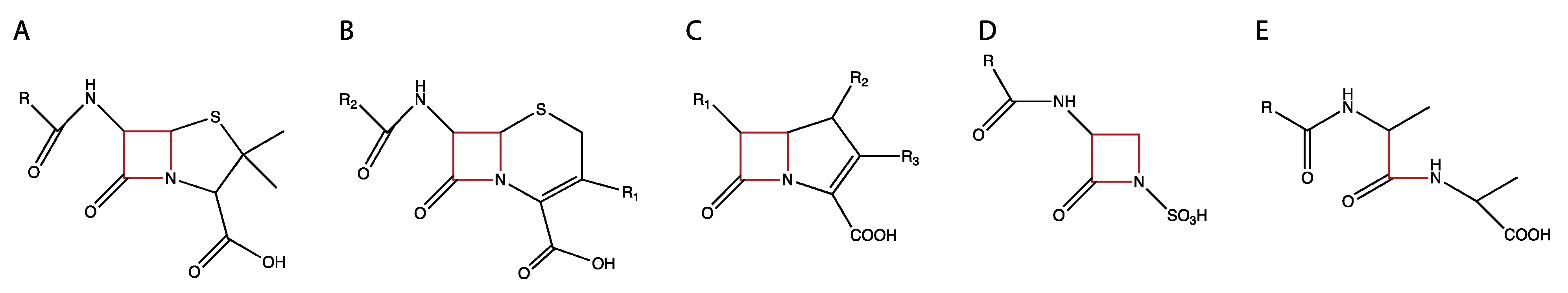 Pathogens 10 01638 g002
