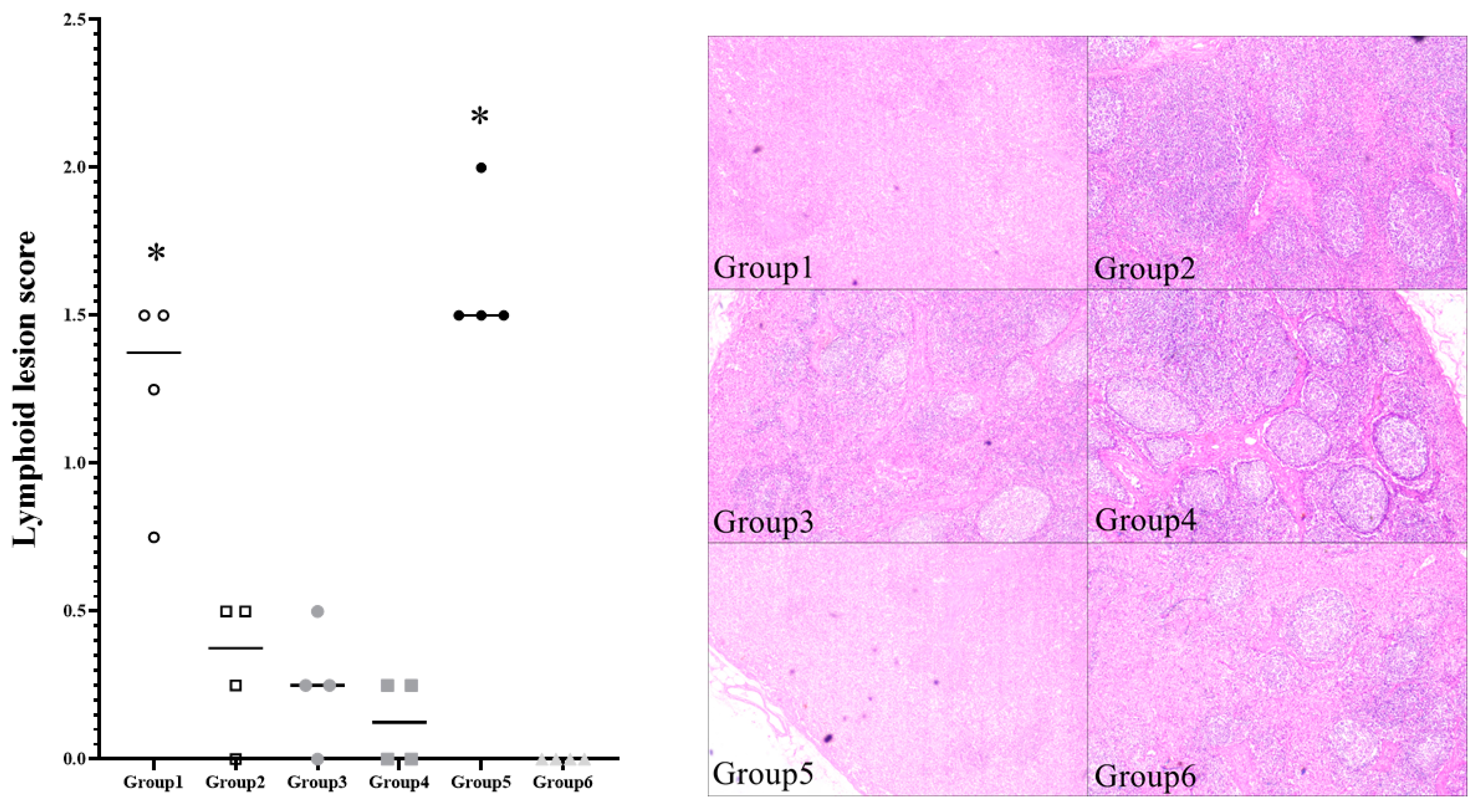 Pathogens 10 01644 g005 550